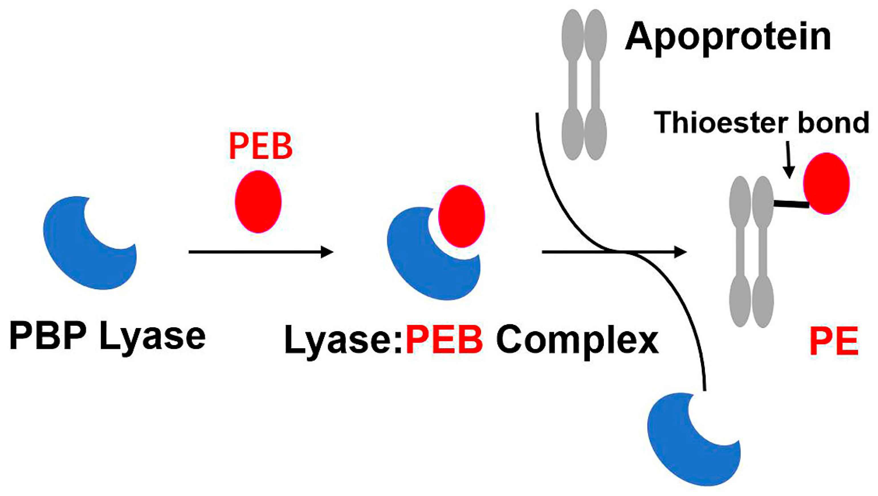 Preprints 73142 g005