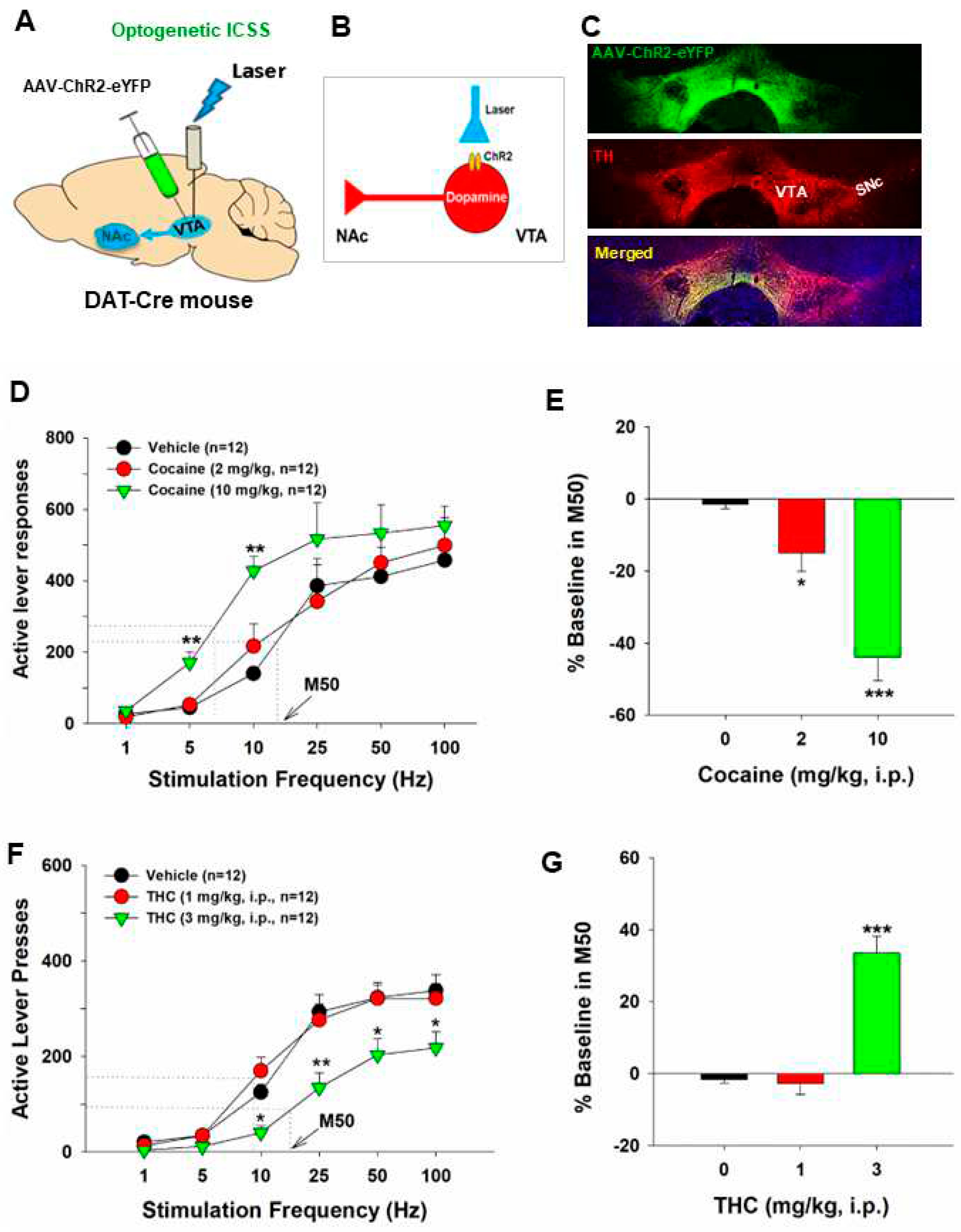 Preprints 96779 g002