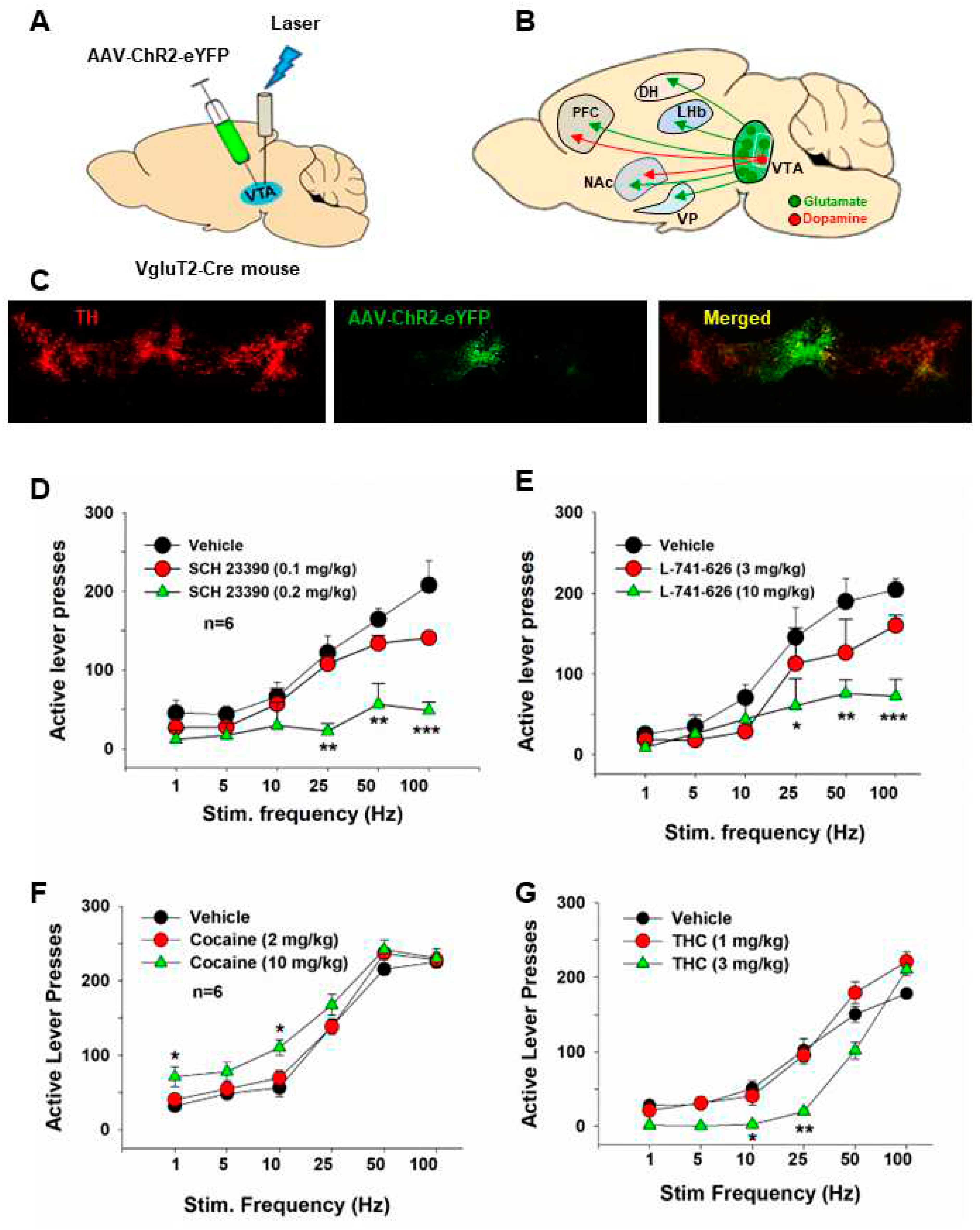 Preprints 96779 g003