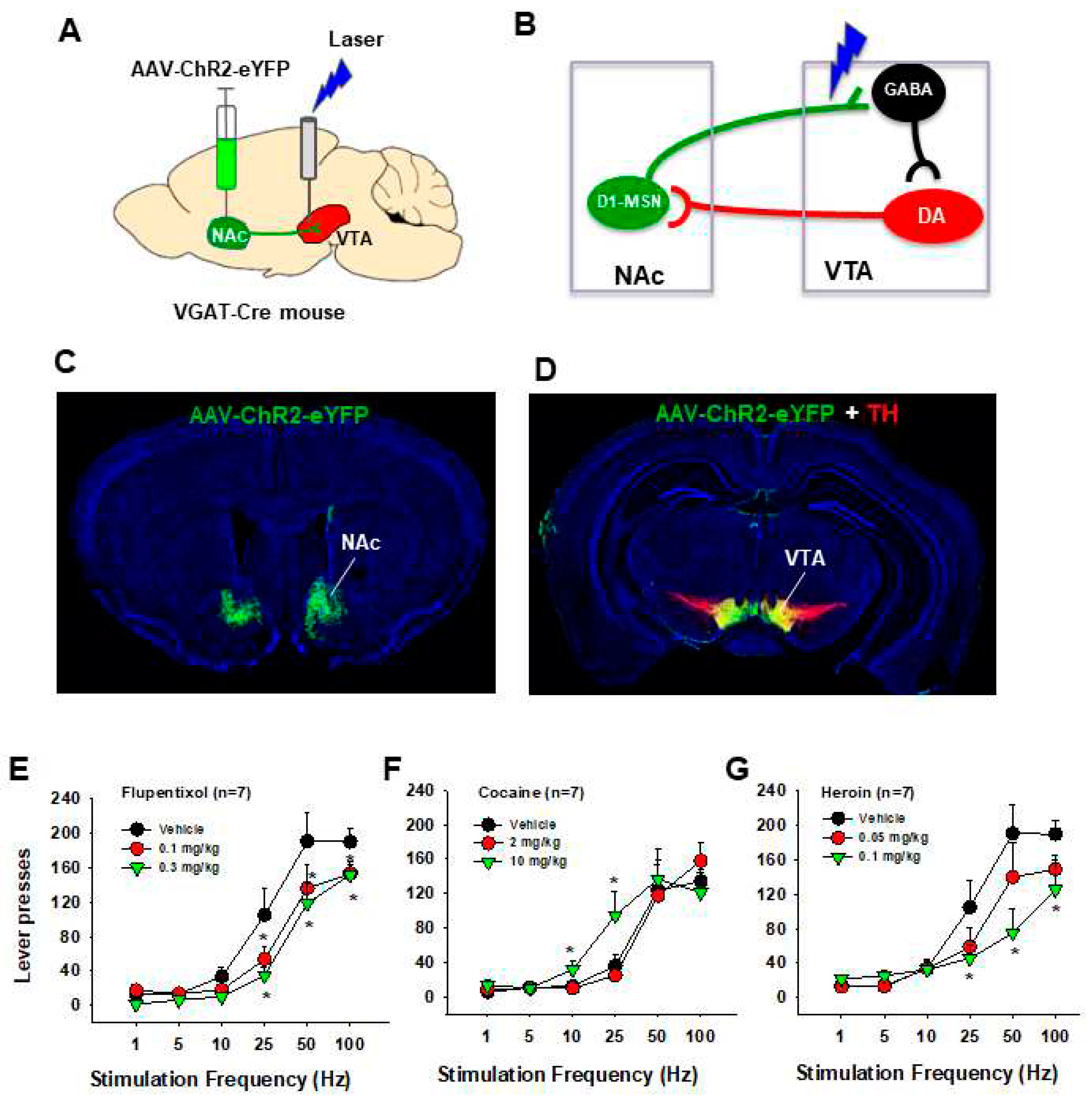 Preprints 96779 g004