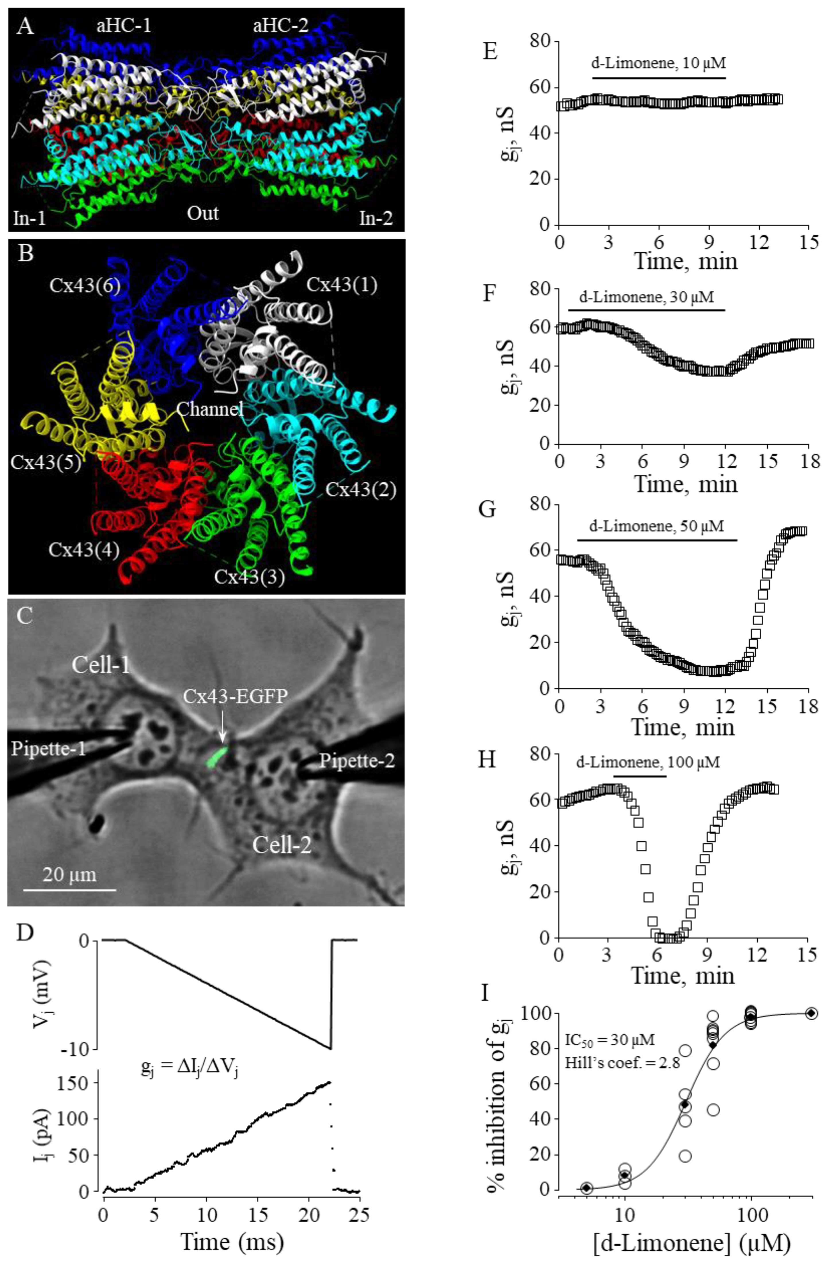 Preprints 70490 g004