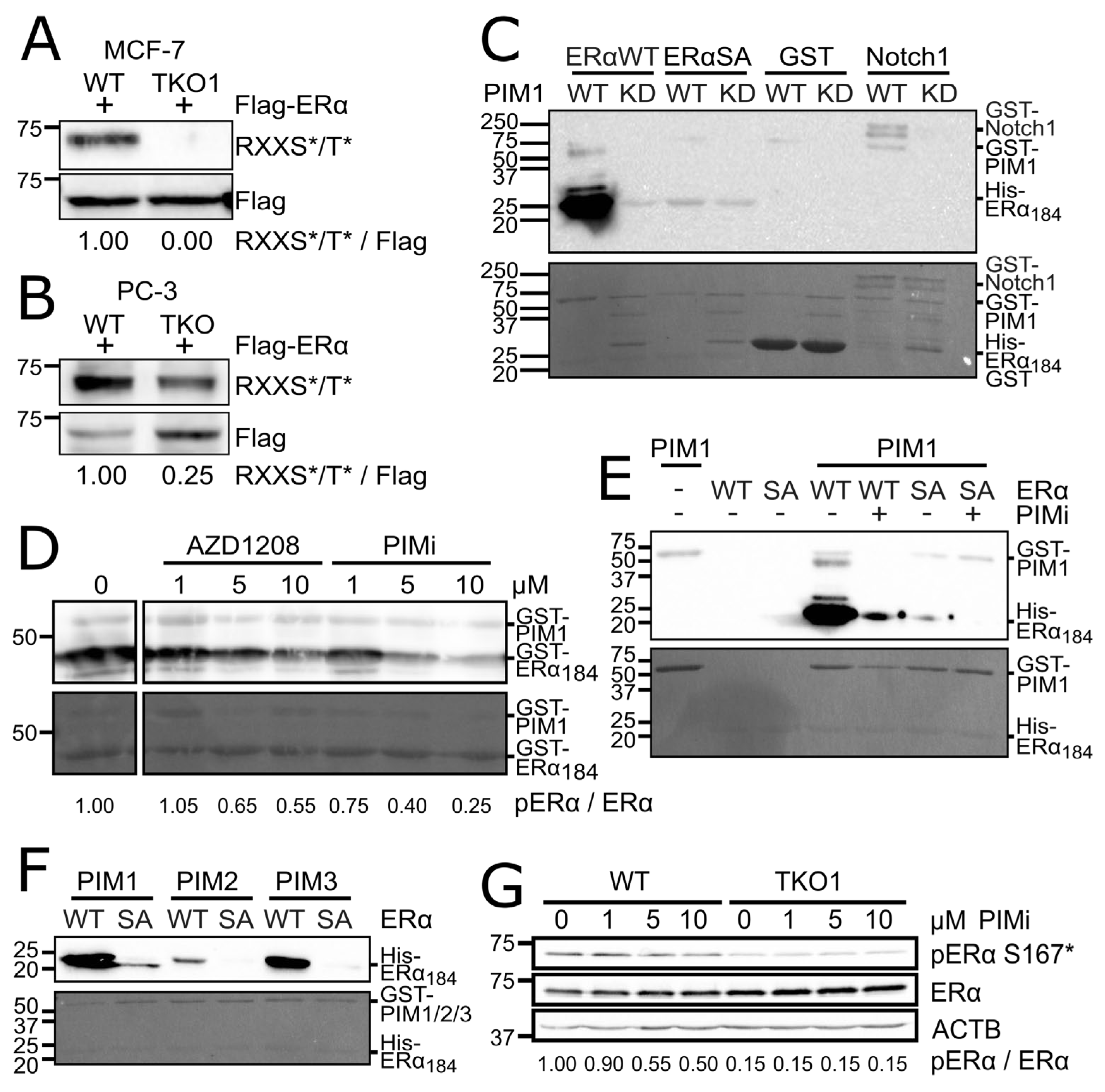 Preprints 117892 g001