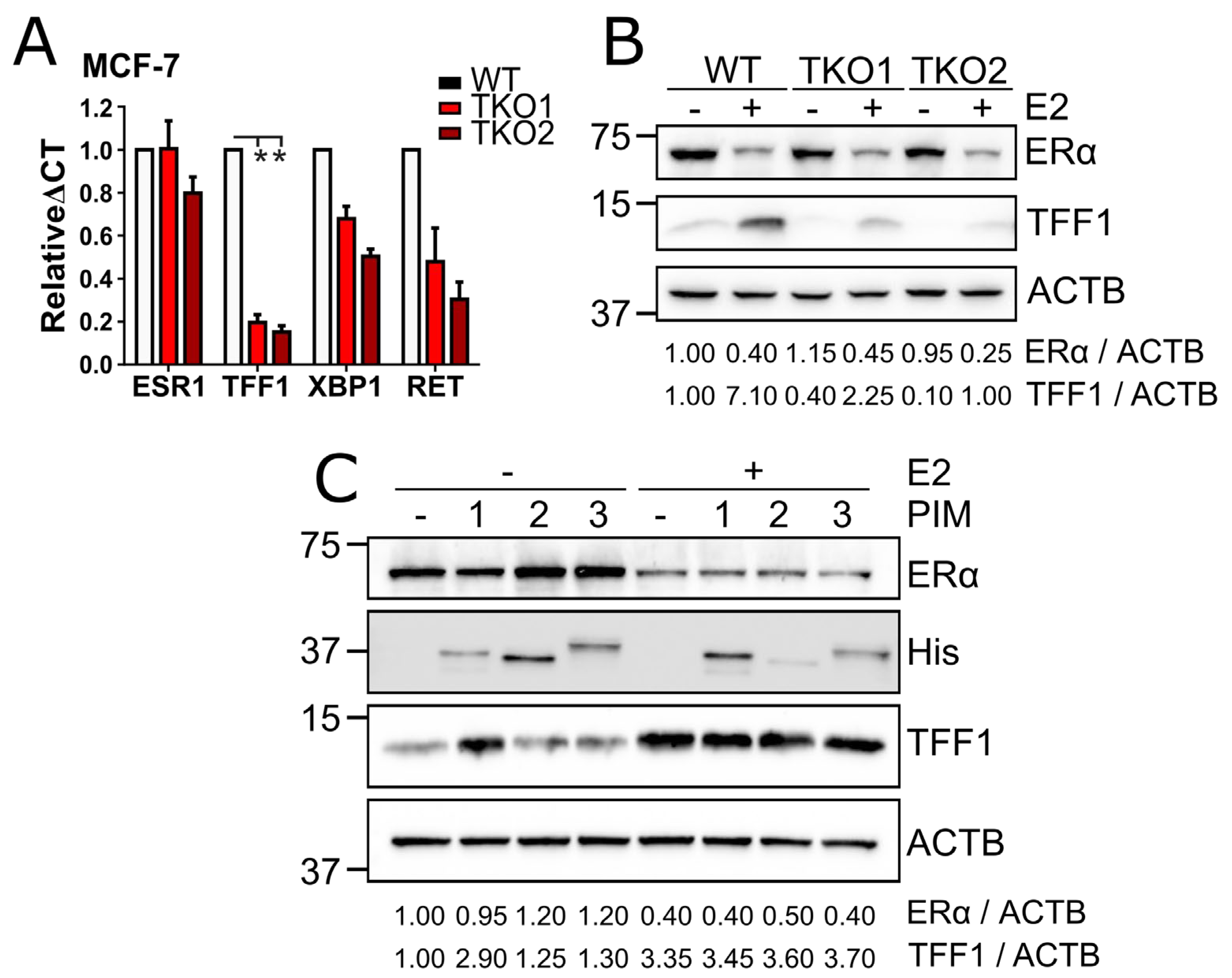 Preprints 117892 g003