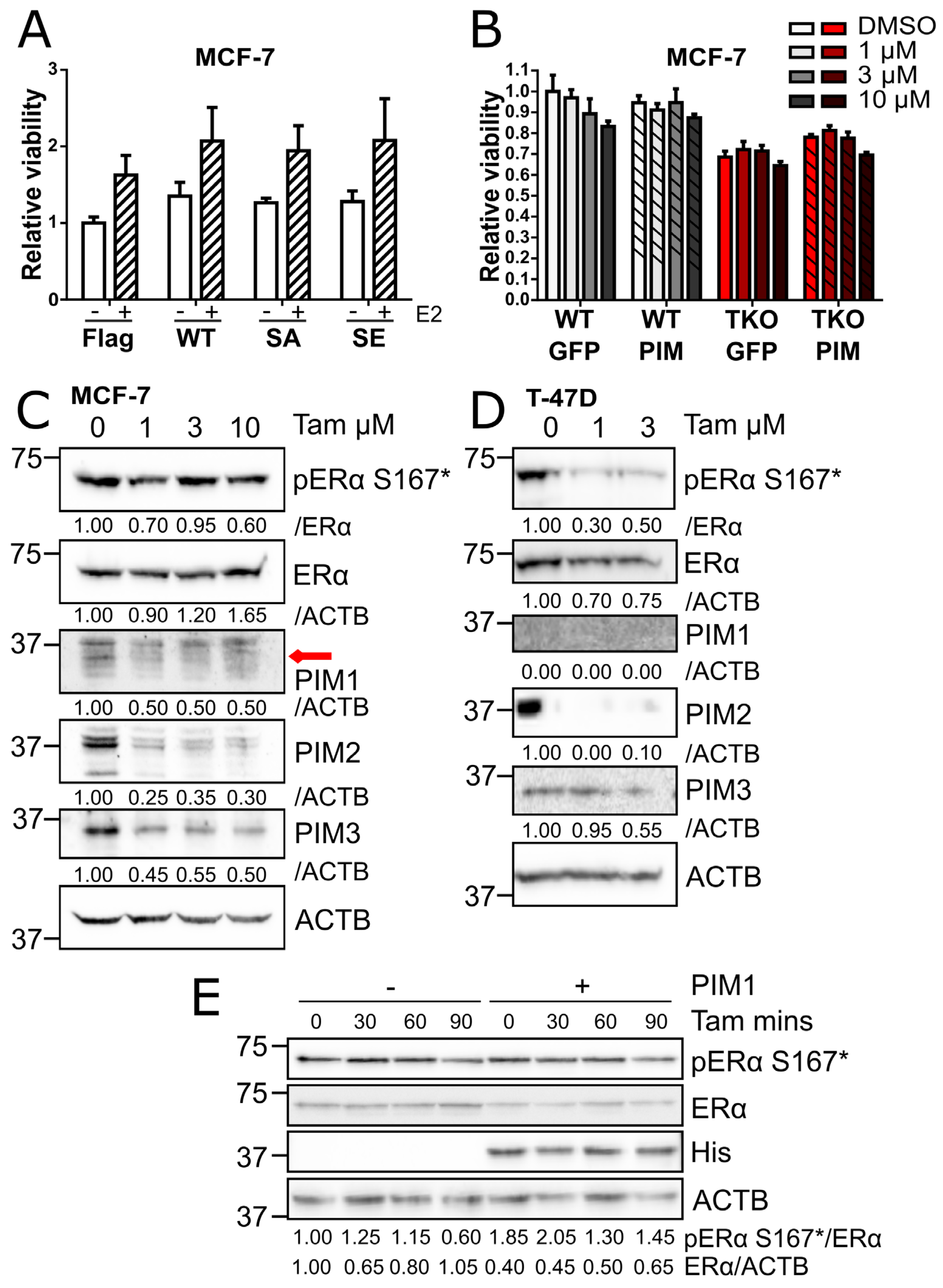 Preprints 117892 g004