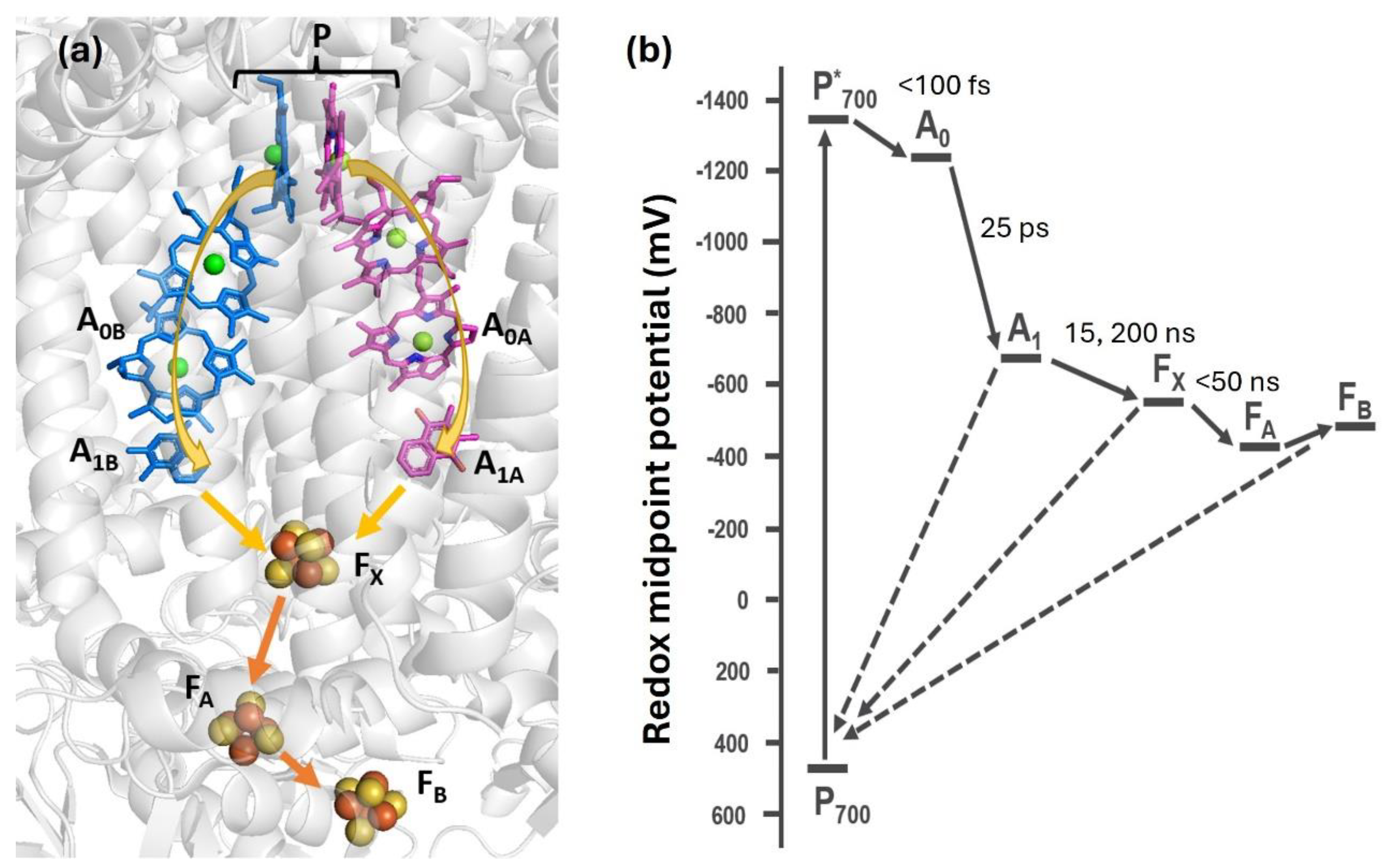 Preprints 109547 g001