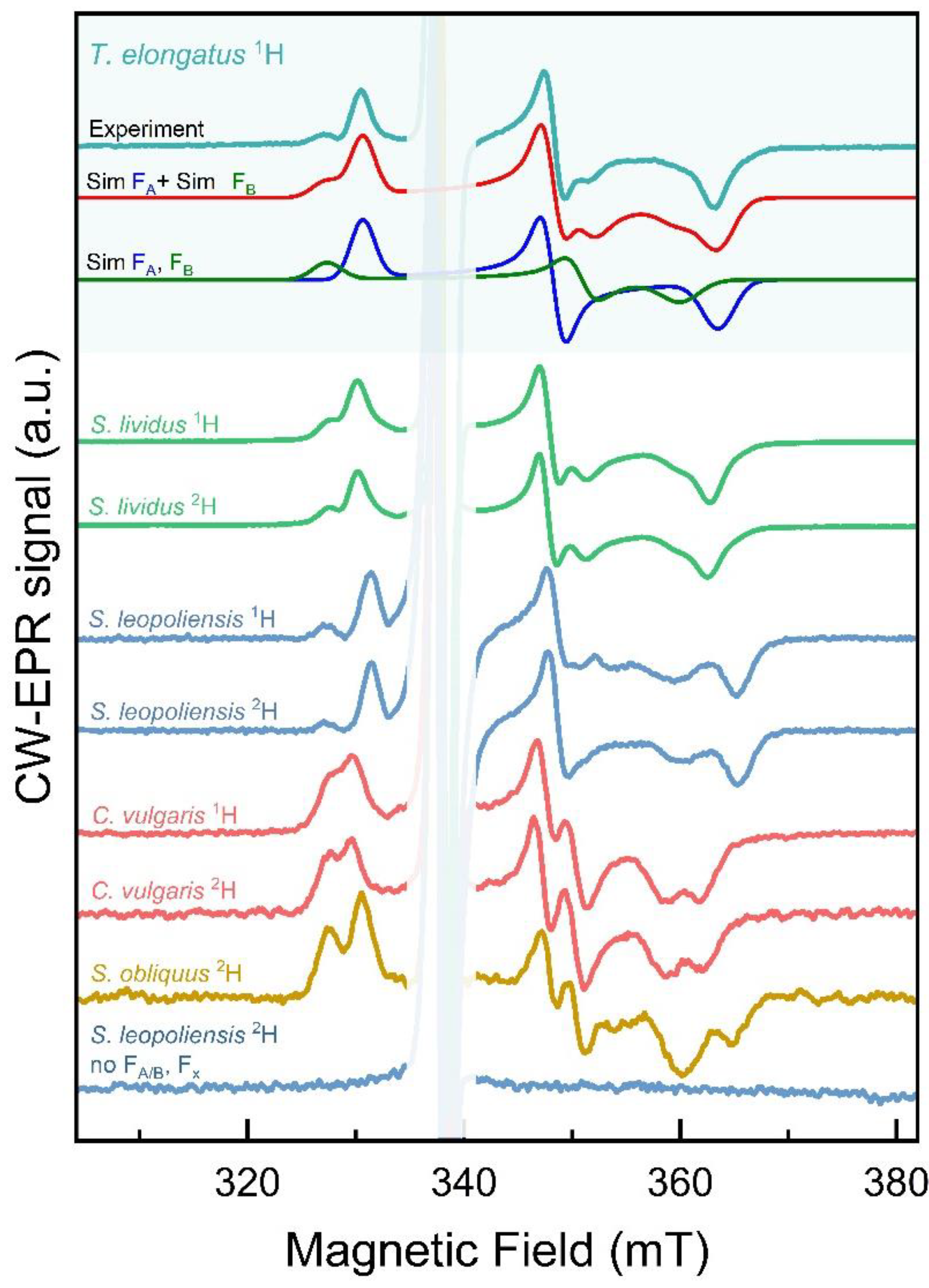 Preprints 109547 g003