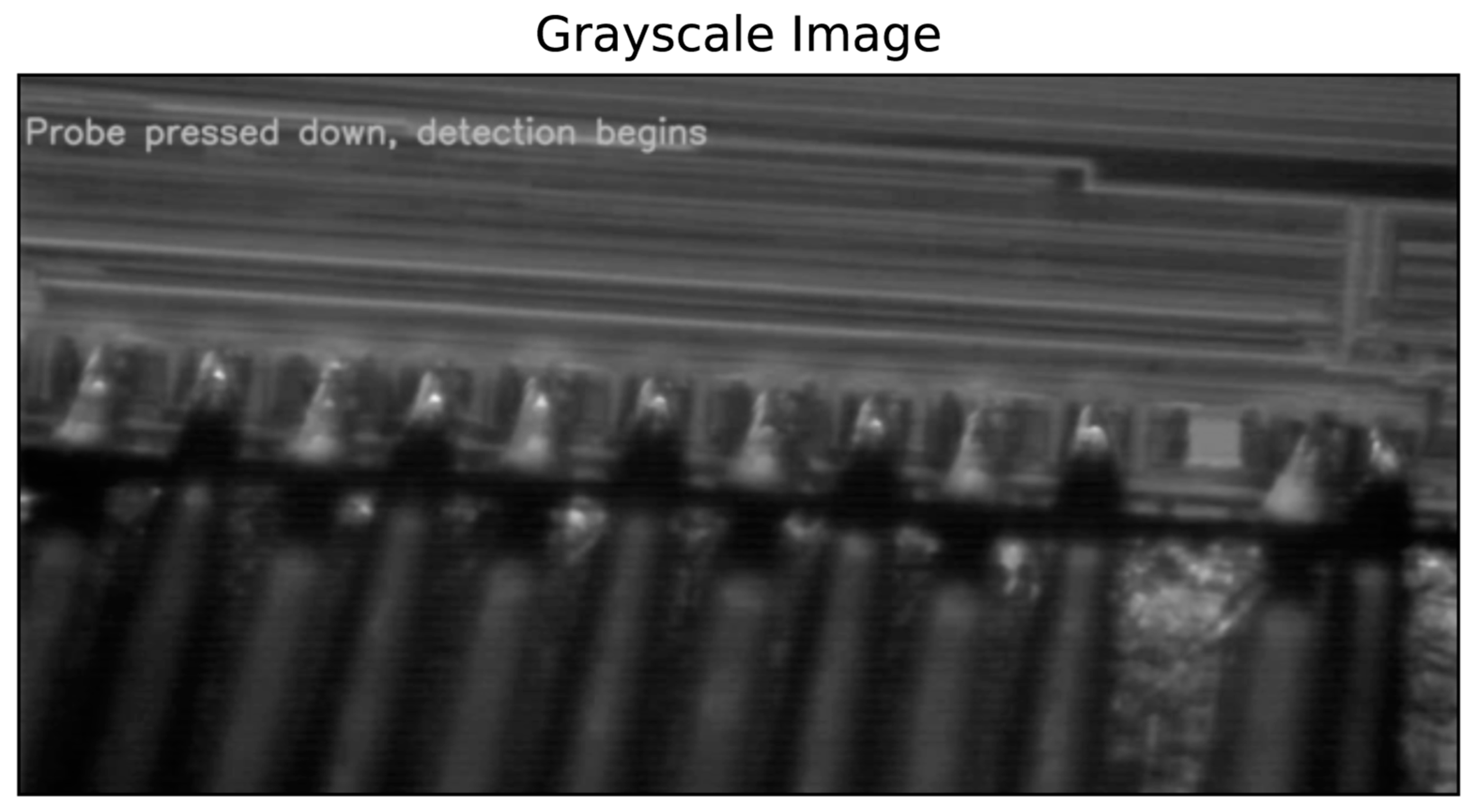 Preprints 115163 g008