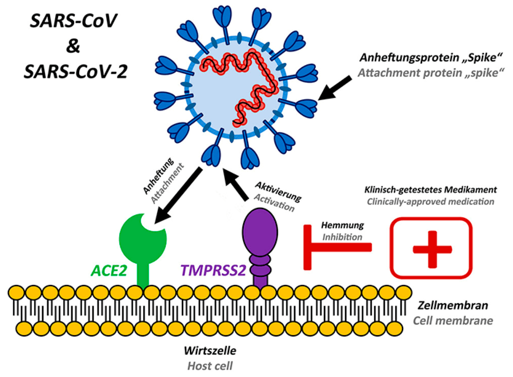 Preprints 81525 g001