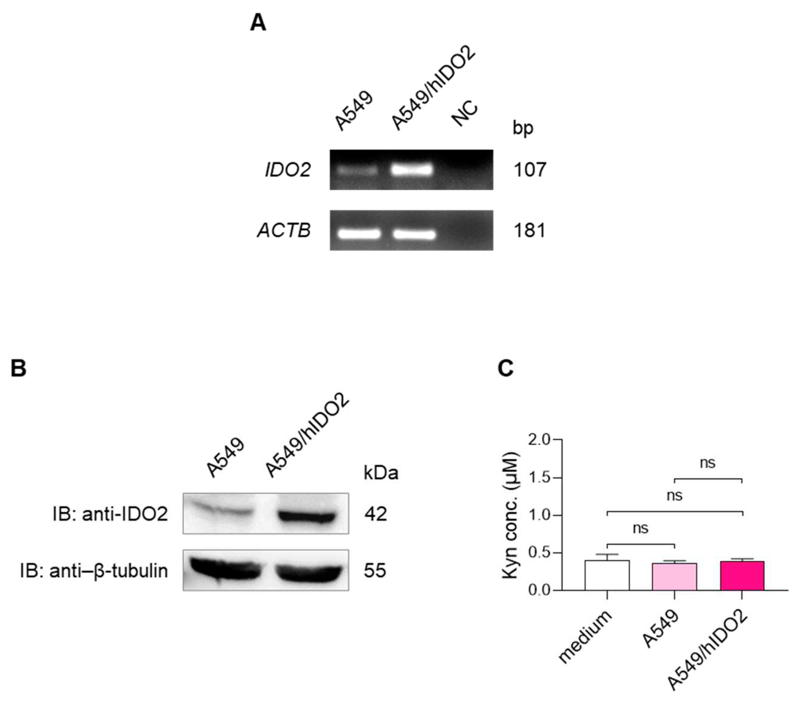 Preprints 85492 g001