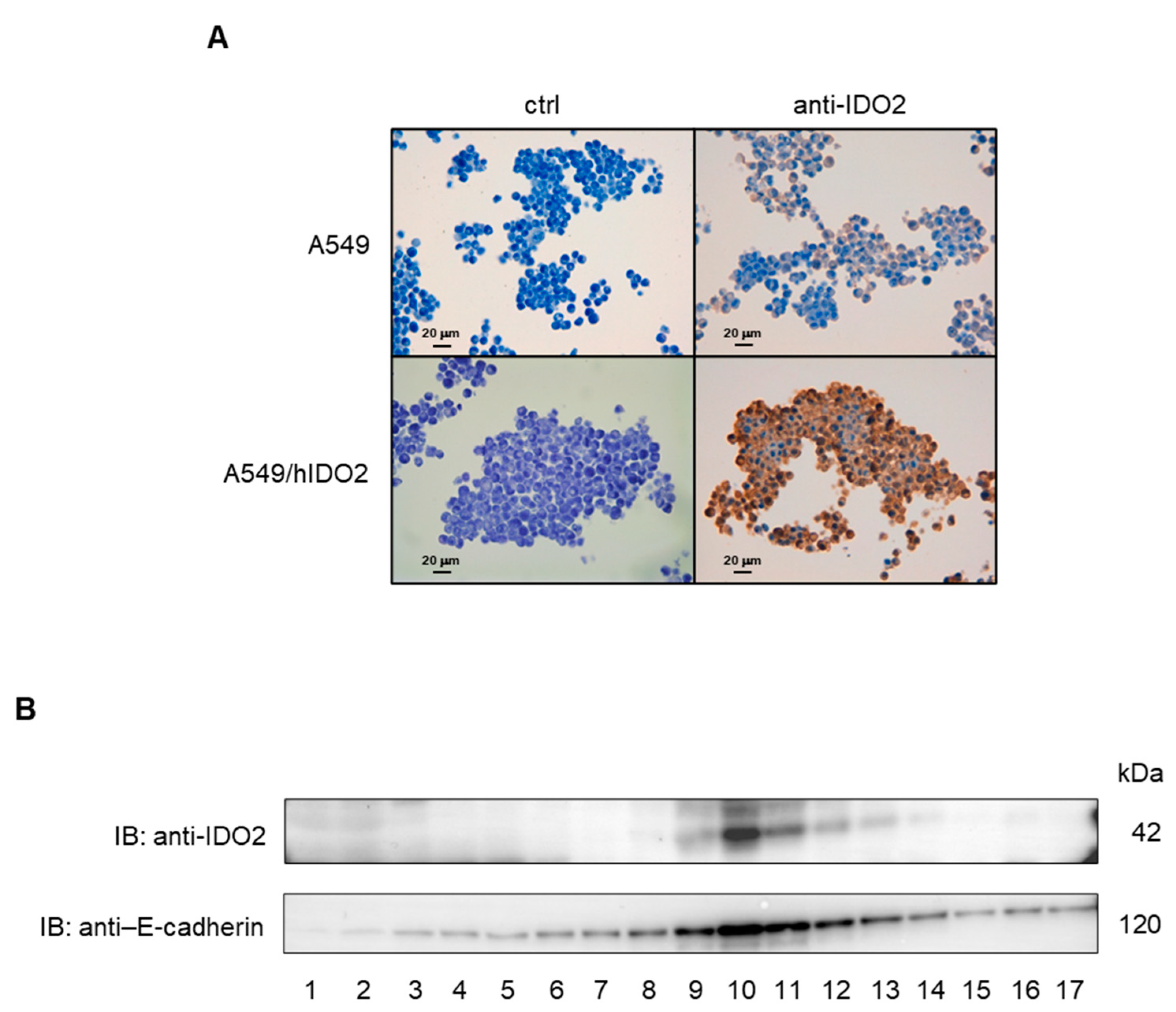 Preprints 85492 g002