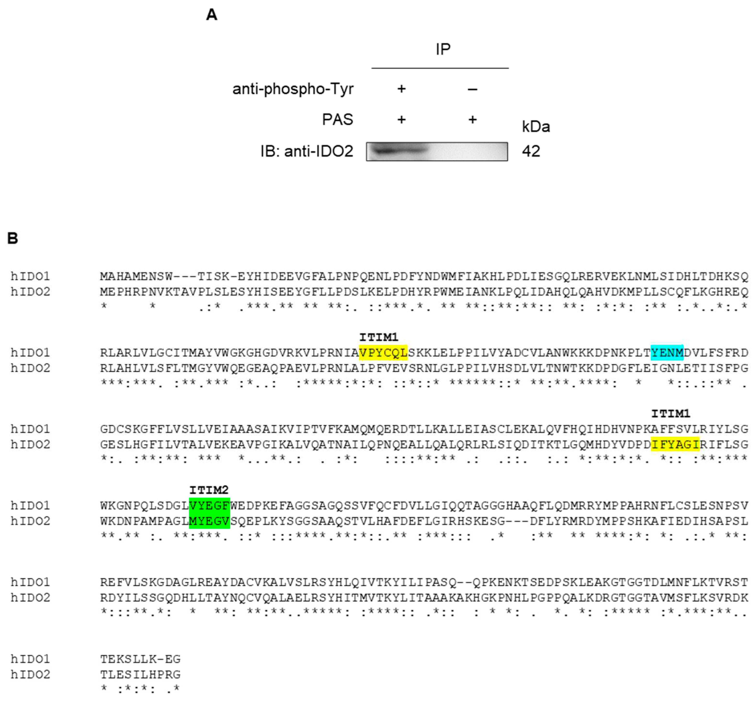 Preprints 85492 g003