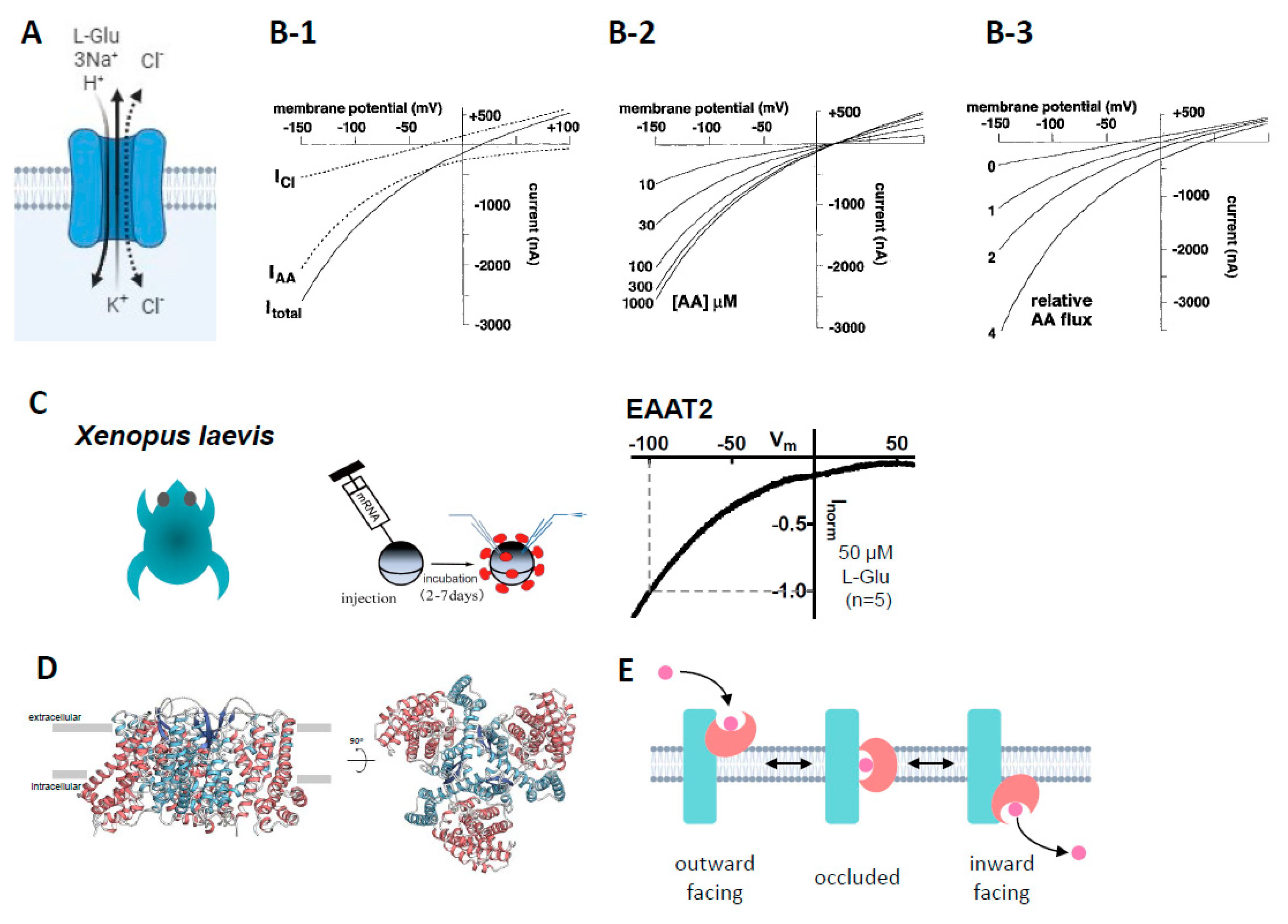 Preprints 92161 g001