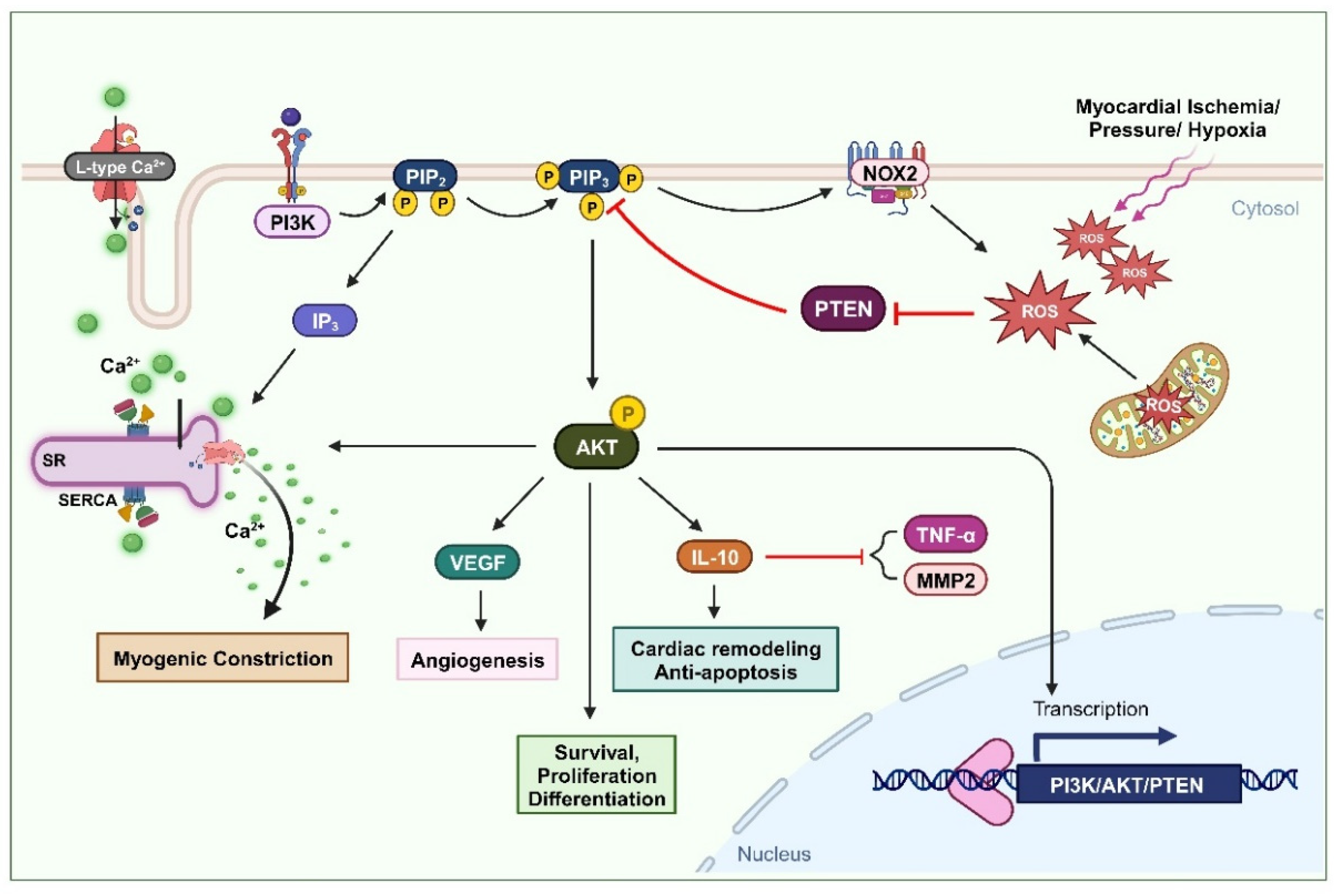 Preprints 95333 g001