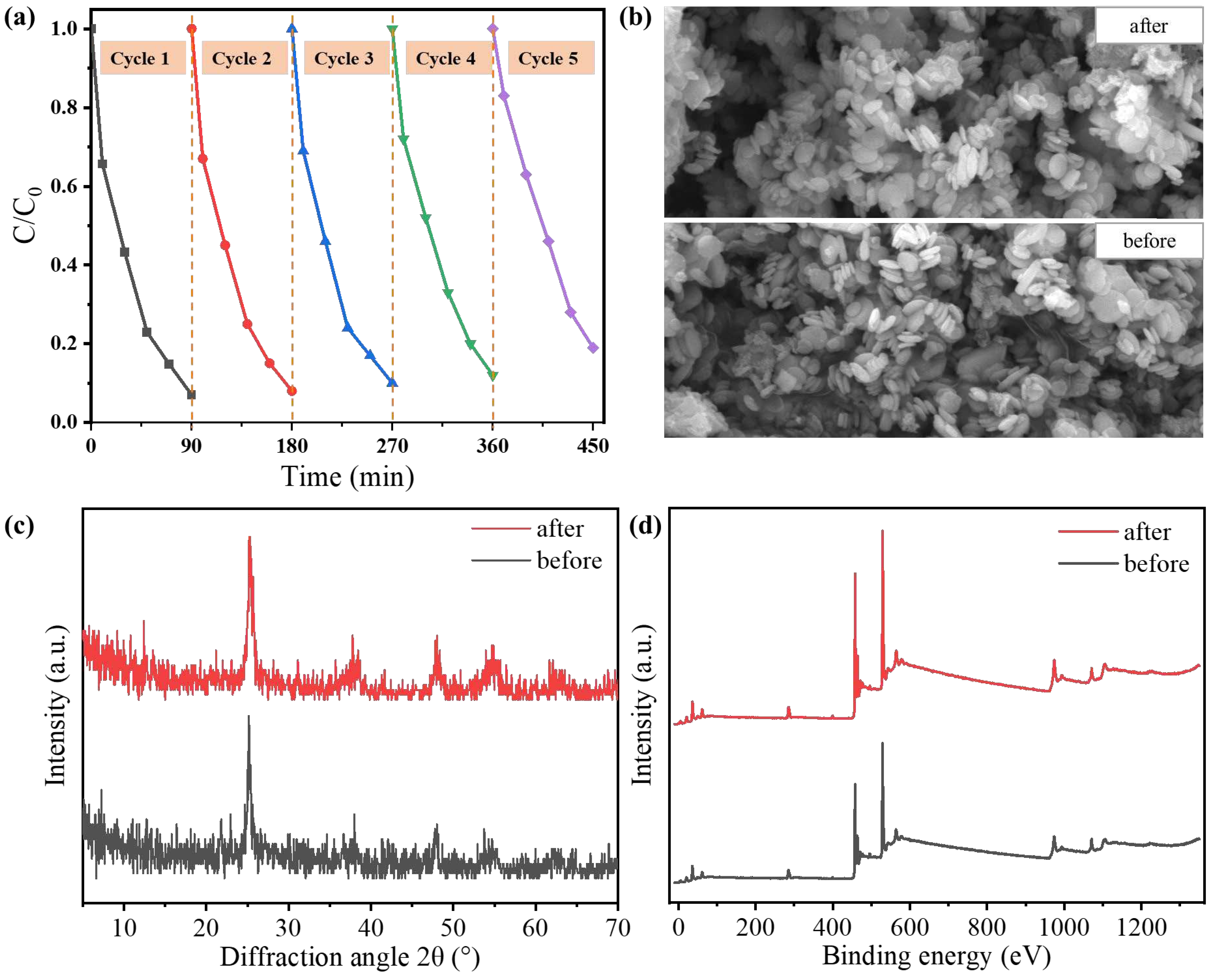 Preprints 92200 g004