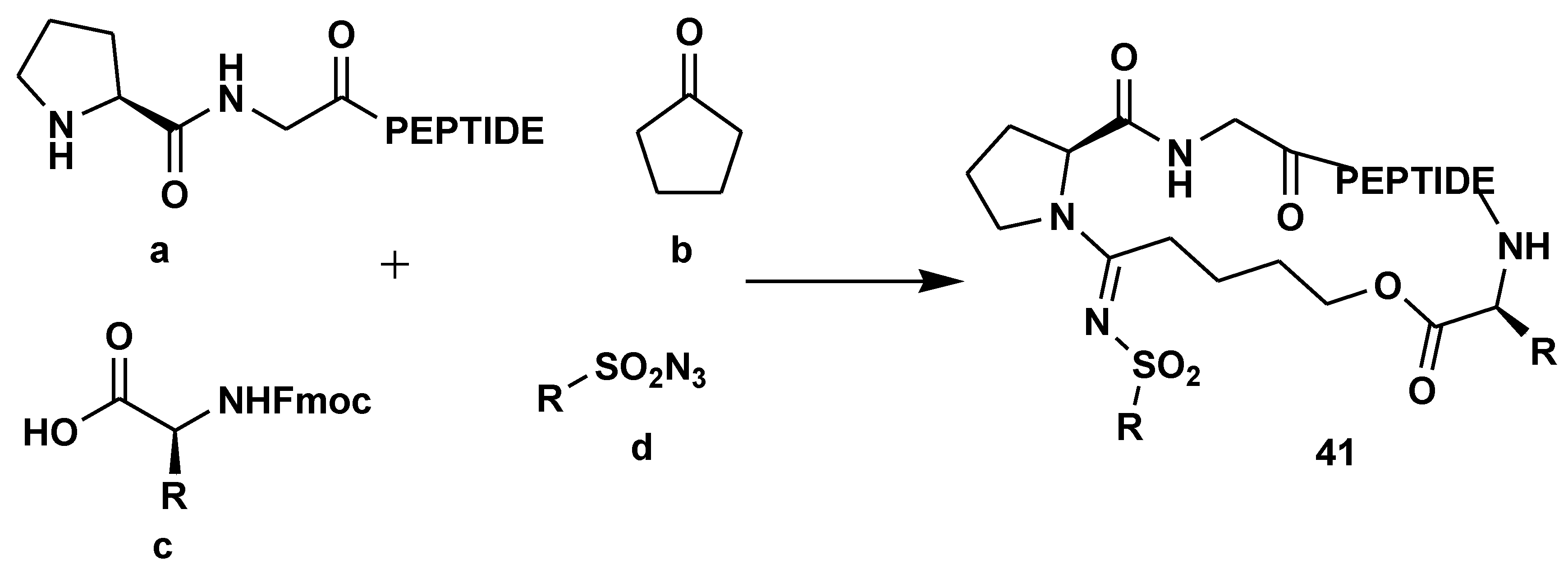 Preprints 75739 sch036