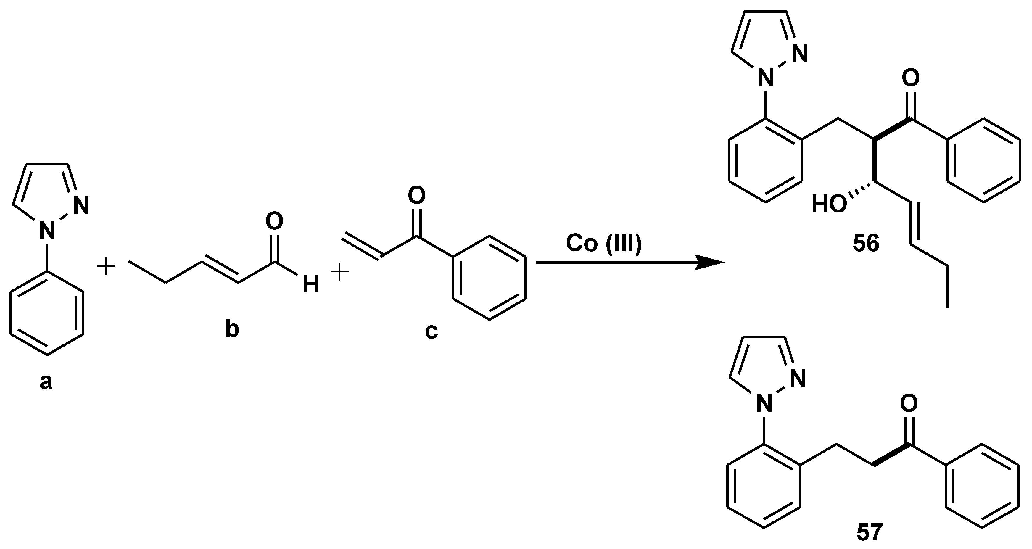 Preprints 75739 sch049