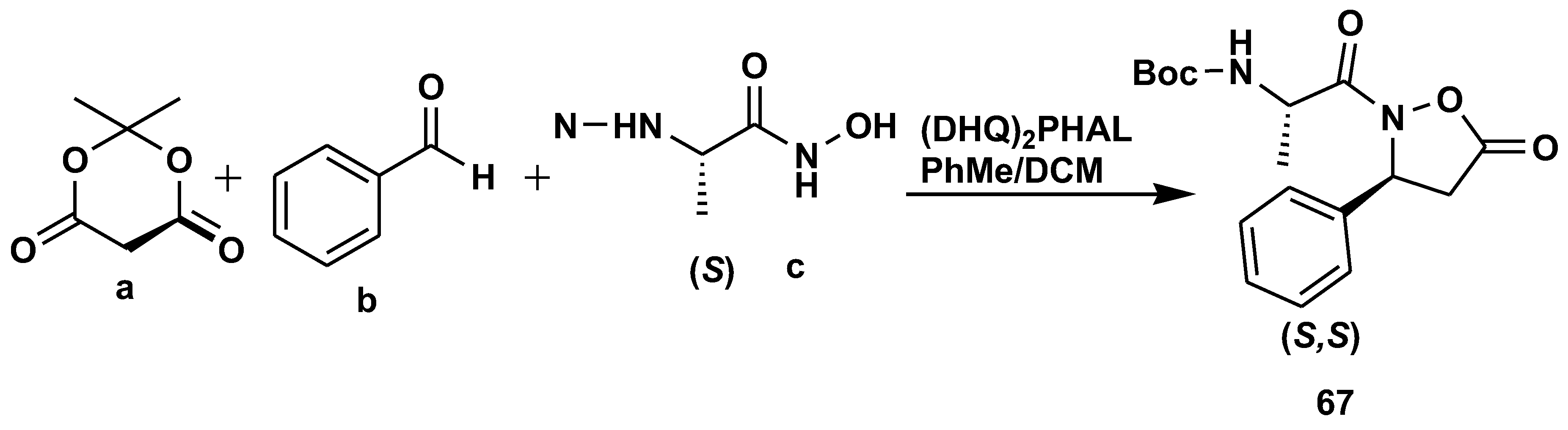 Preprints 75739 sch059