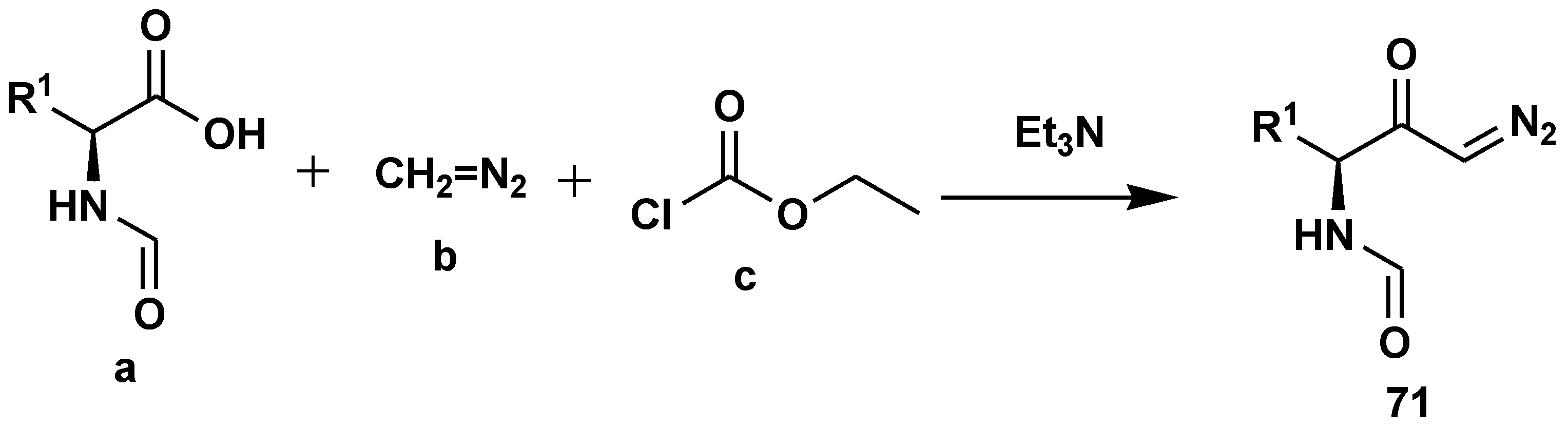 Preprints 75739 sch063