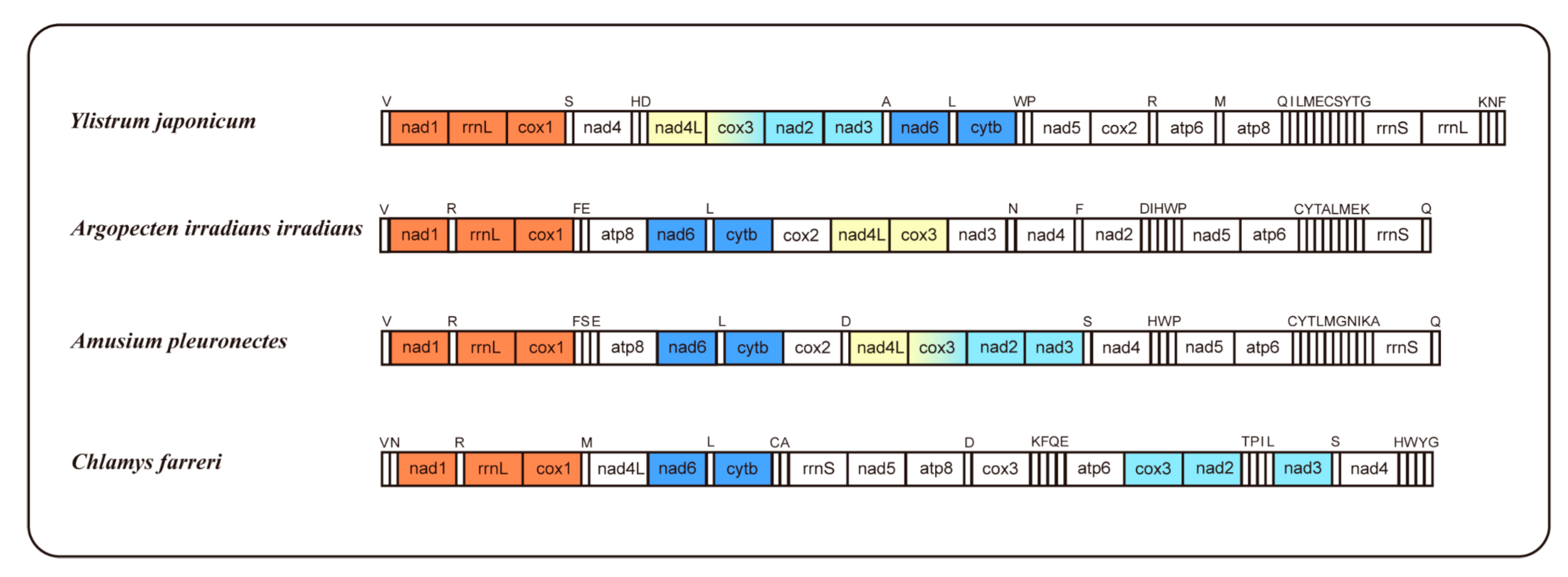 Preprints 113669 g002