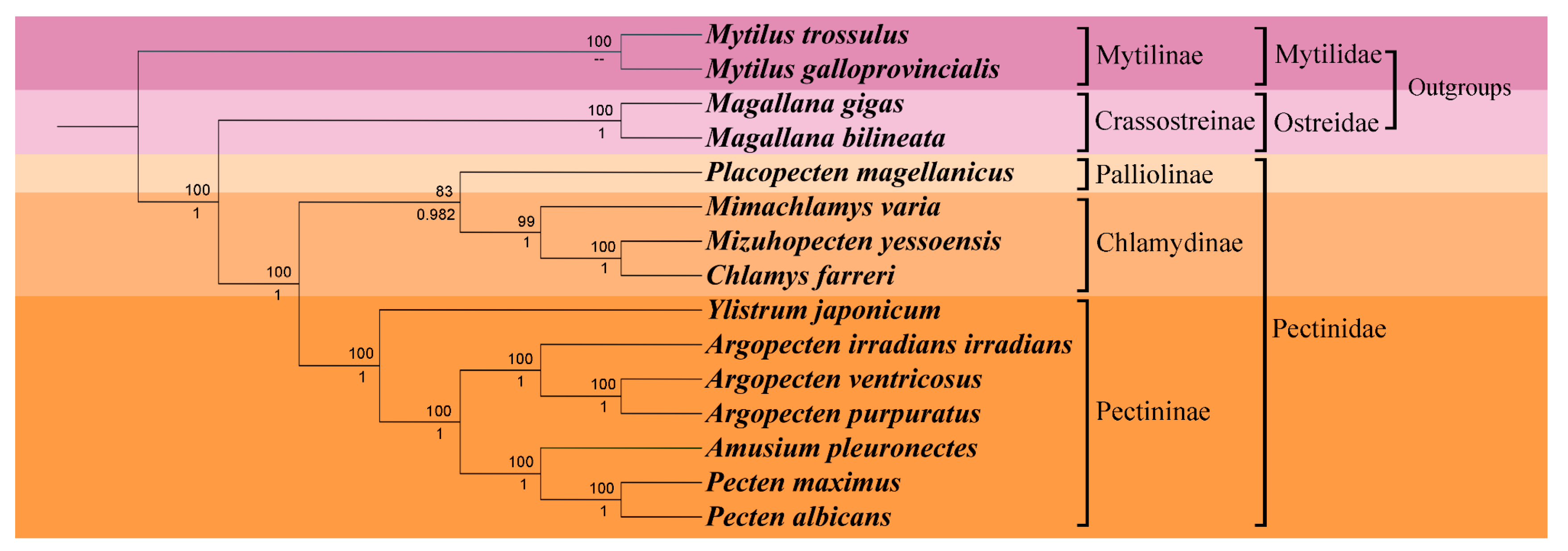 Preprints 113669 g004