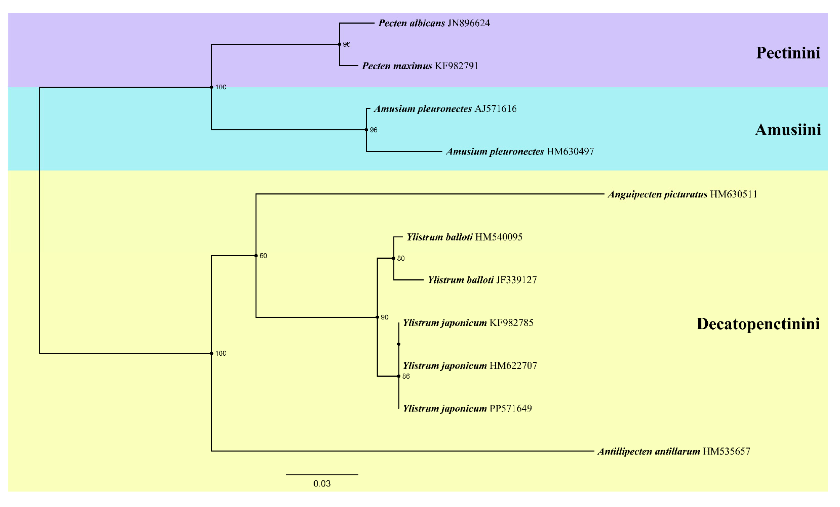 Preprints 113669 g005