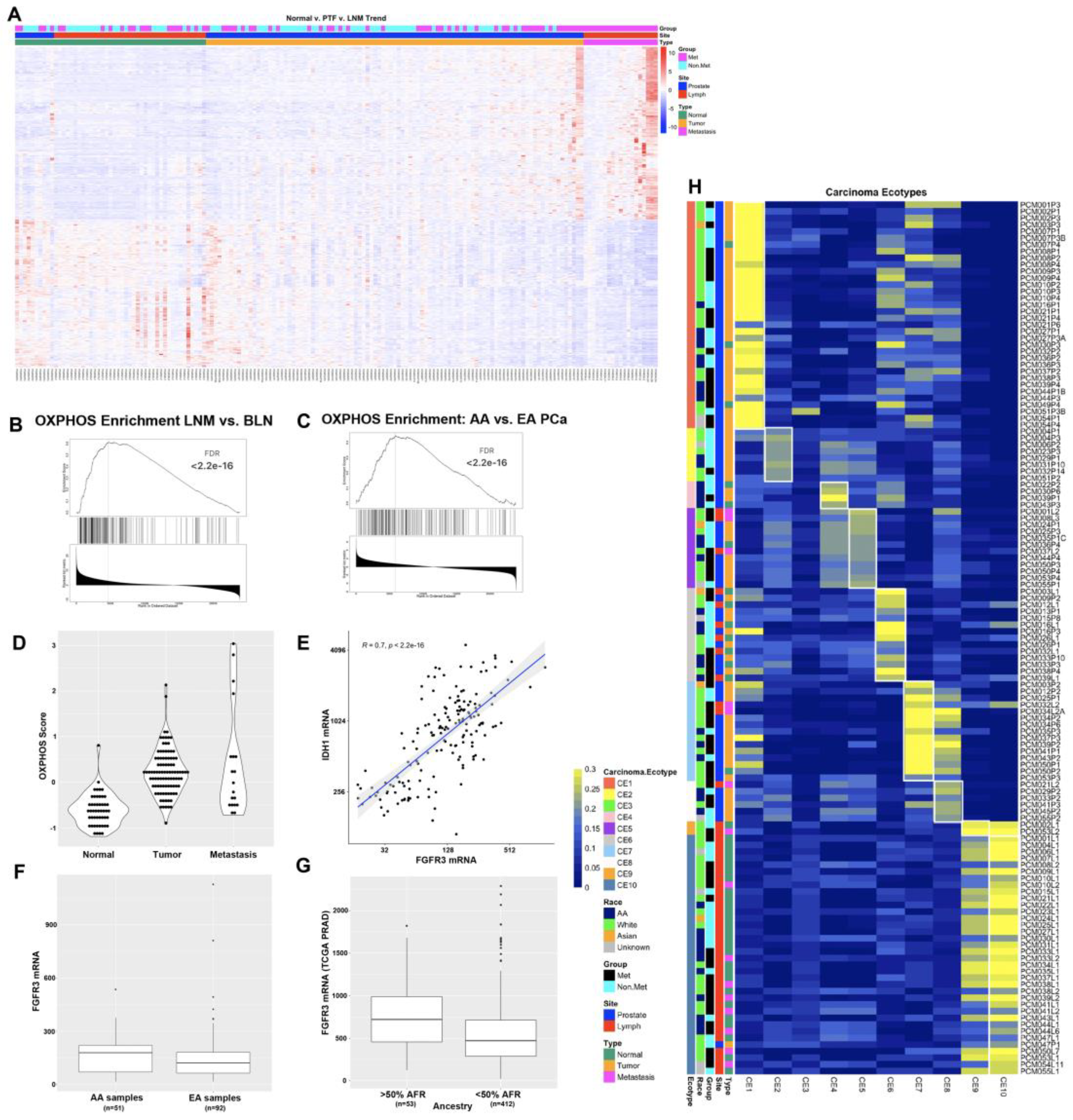 Preprints 88654 g001