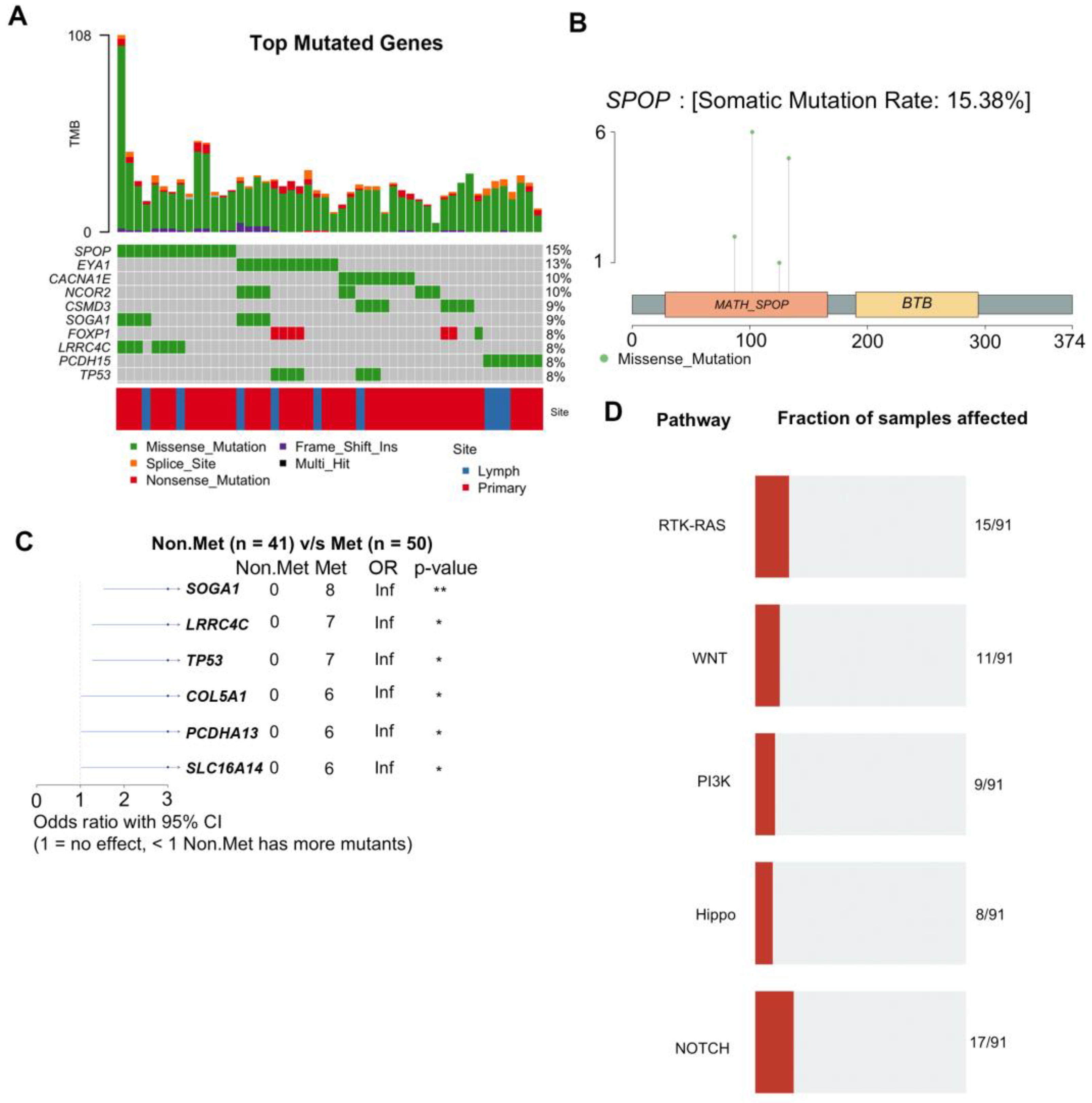 Preprints 88654 g002