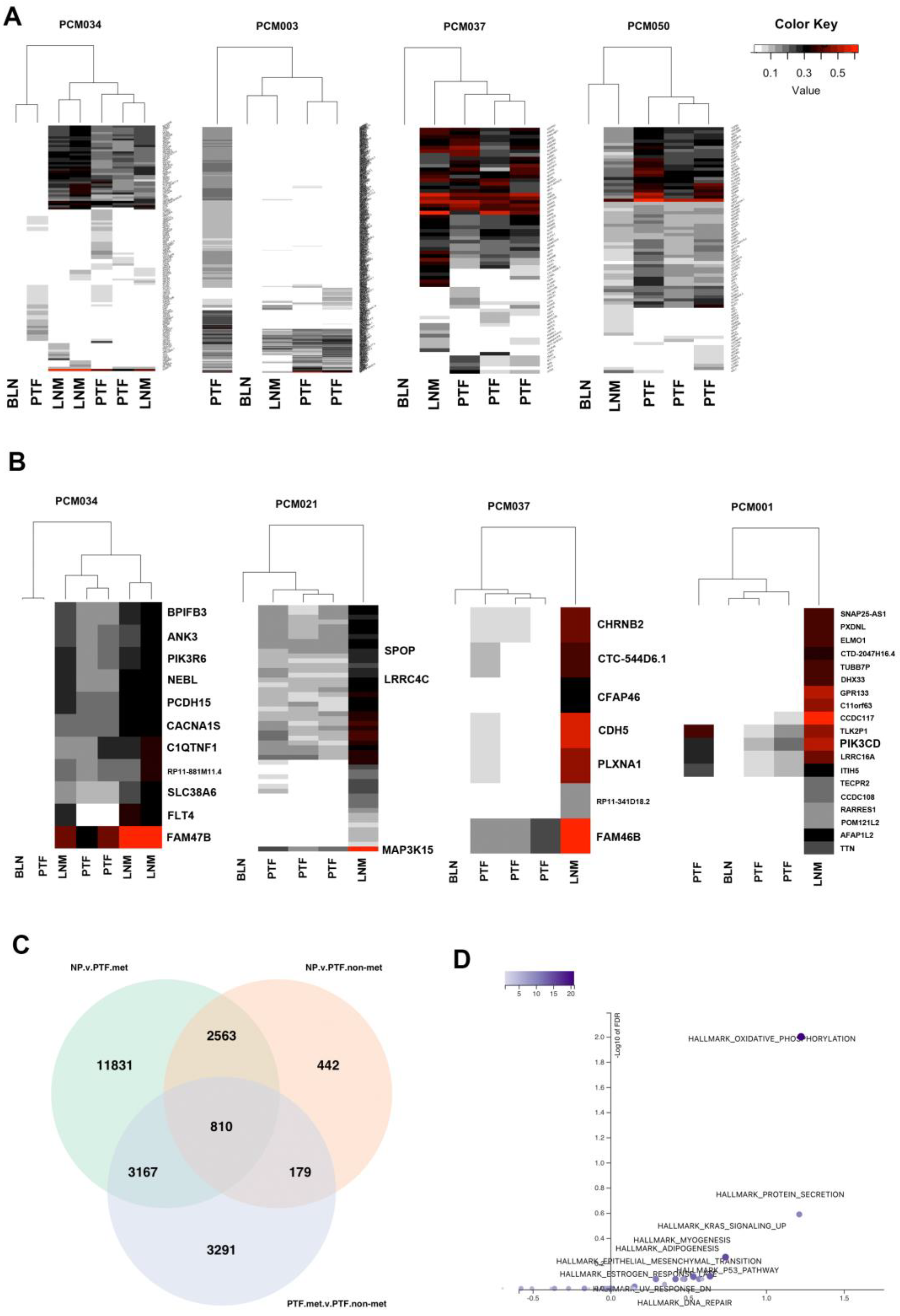 Preprints 88654 g003