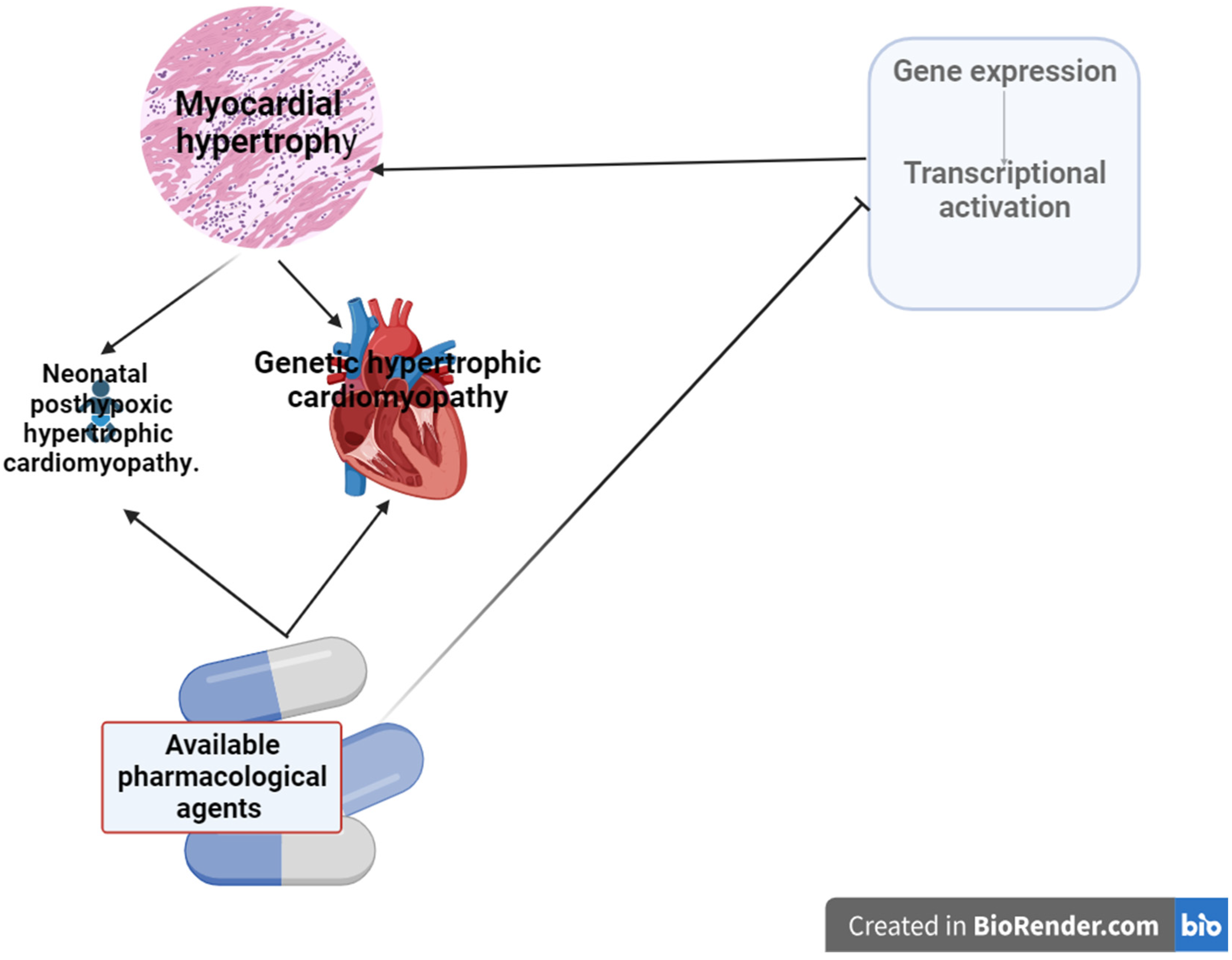 Preprints 99440 g001