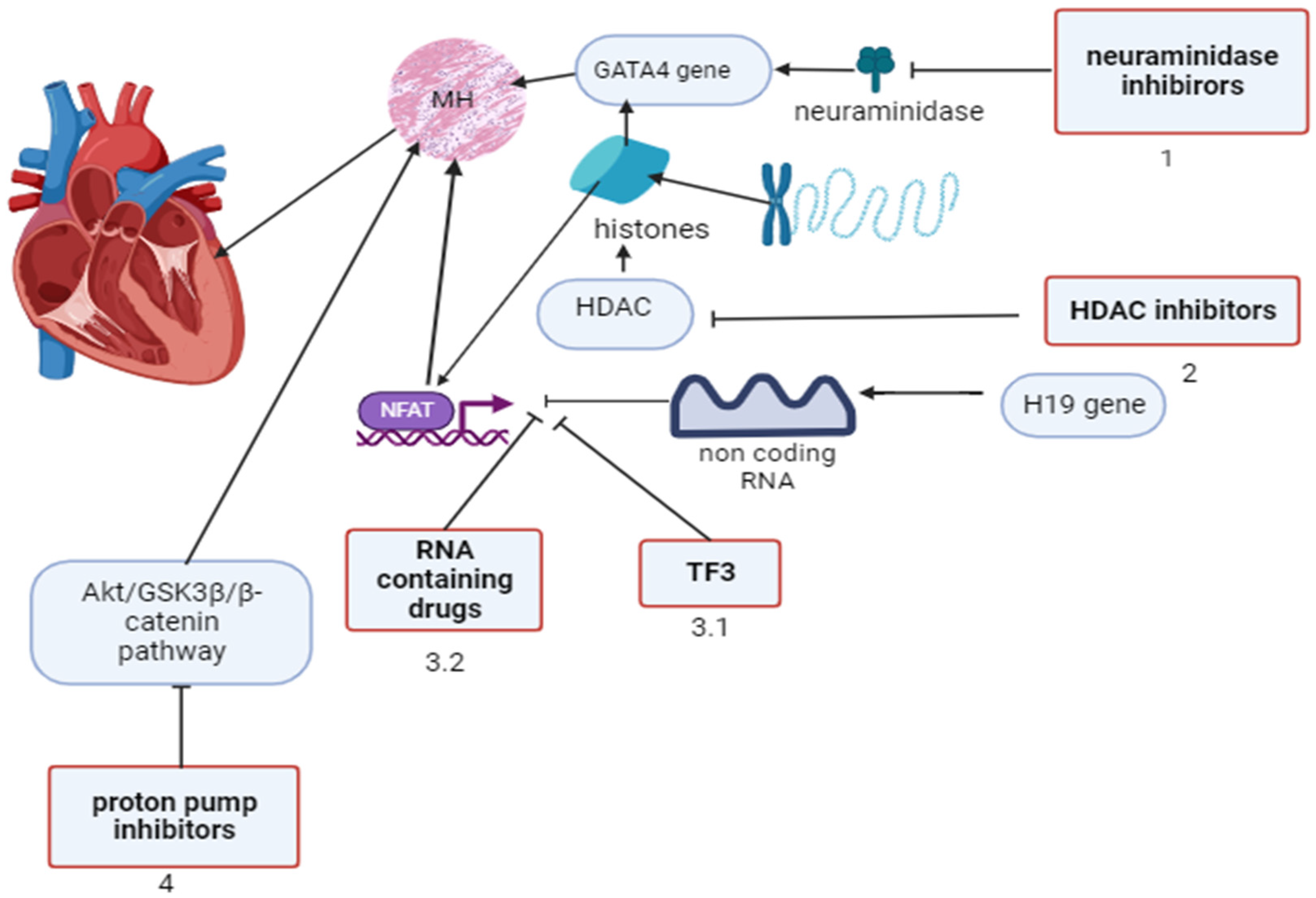 Preprints 99440 g002