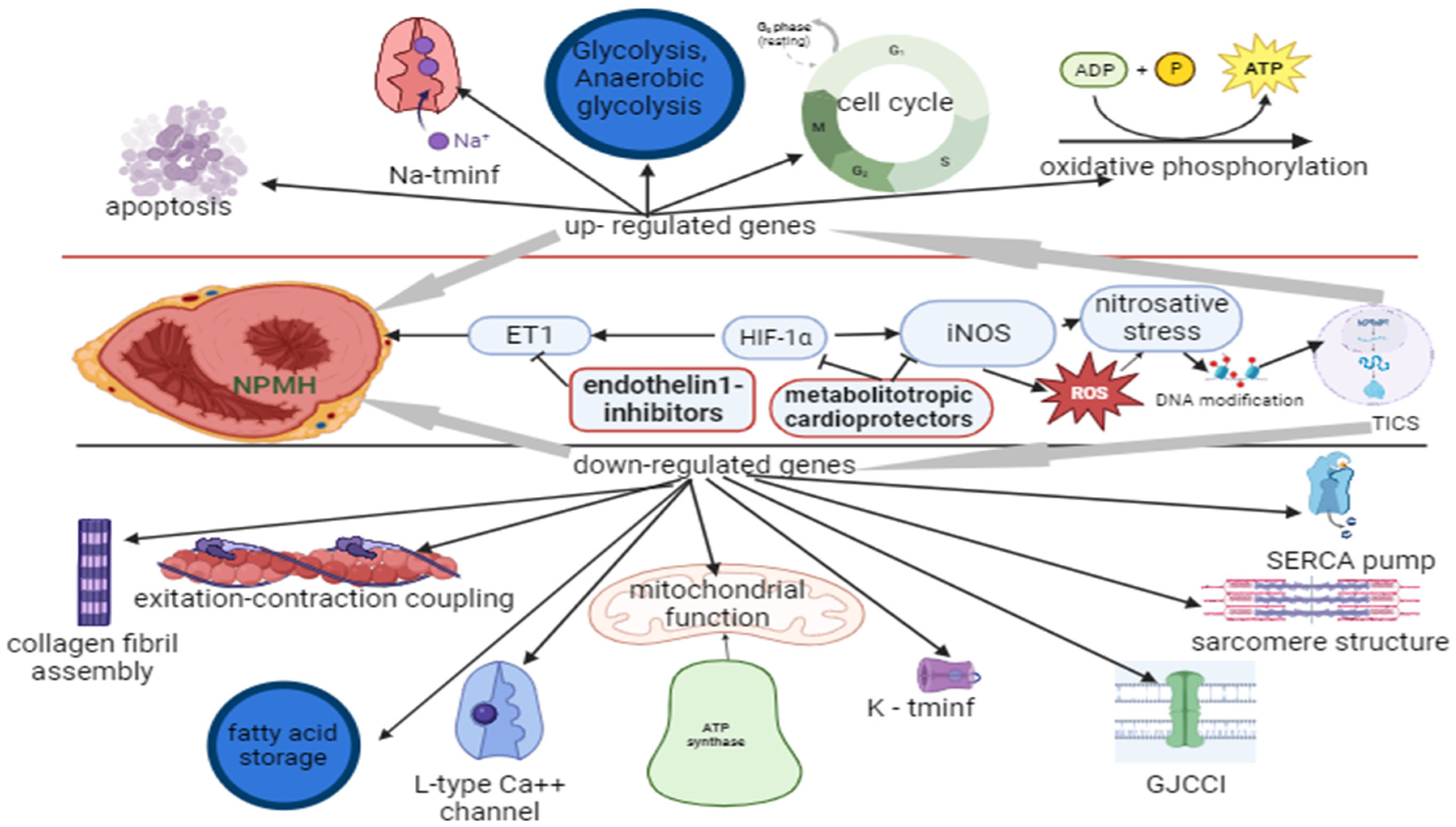 Preprints 99440 g003