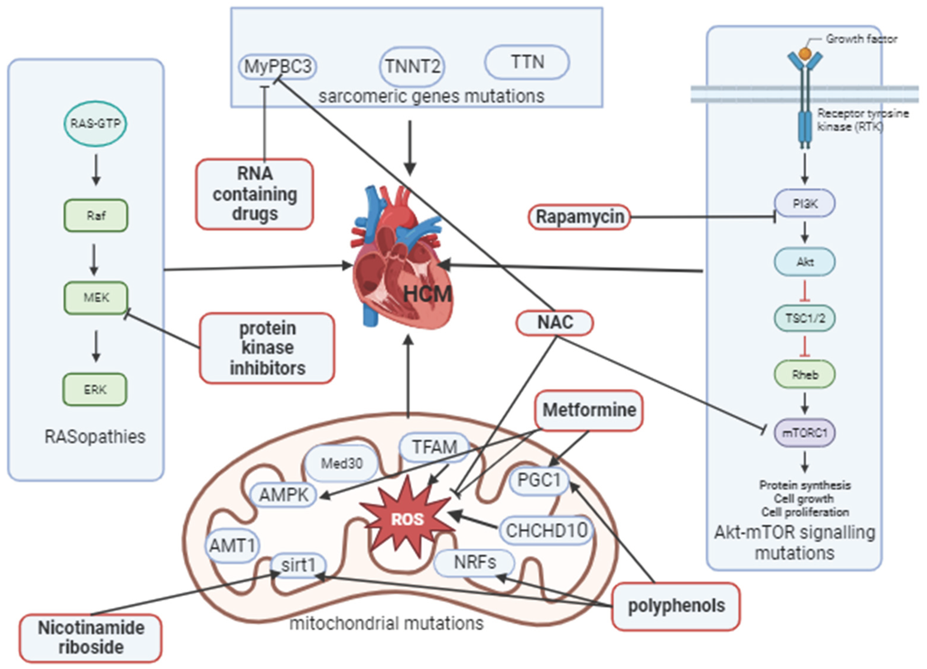 Preprints 99440 g004