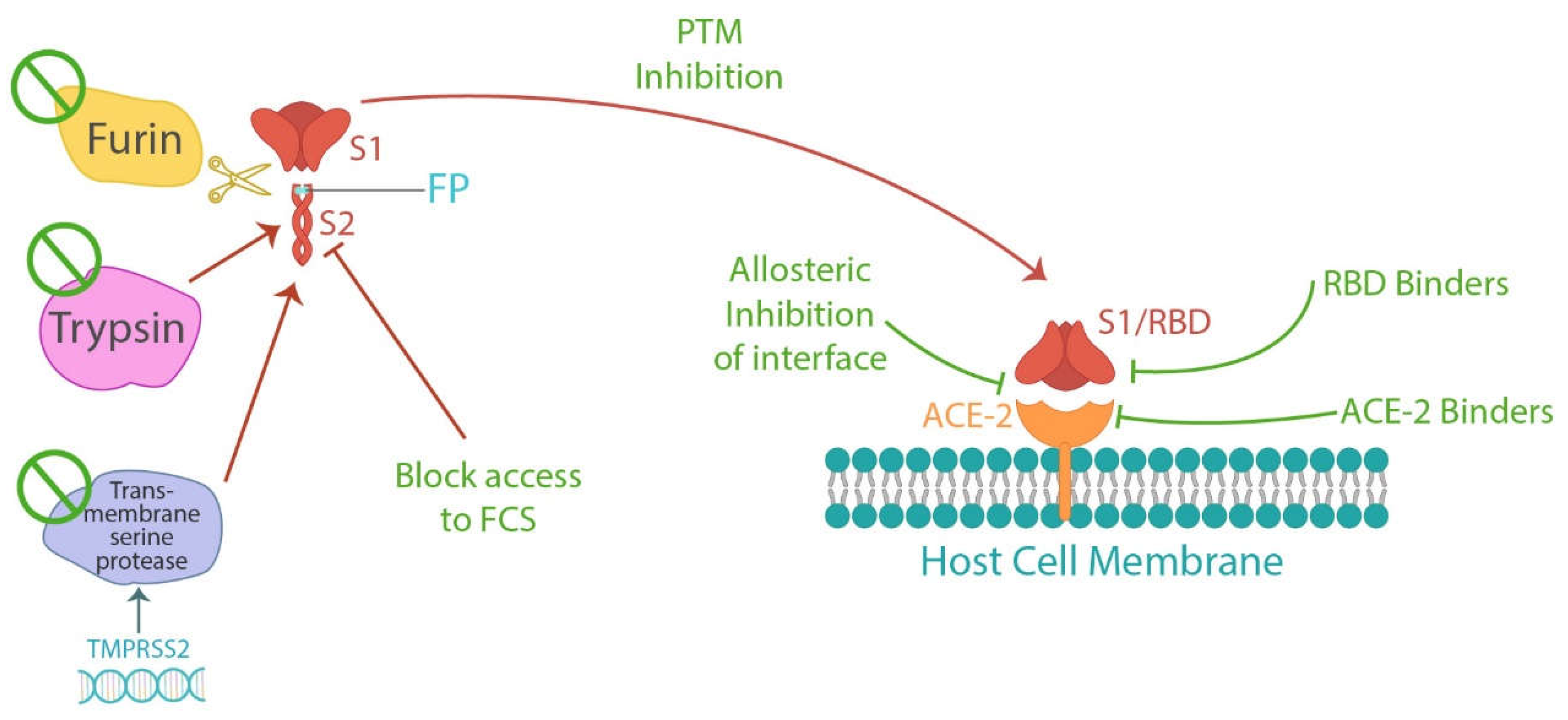 Preprints 70727 g001