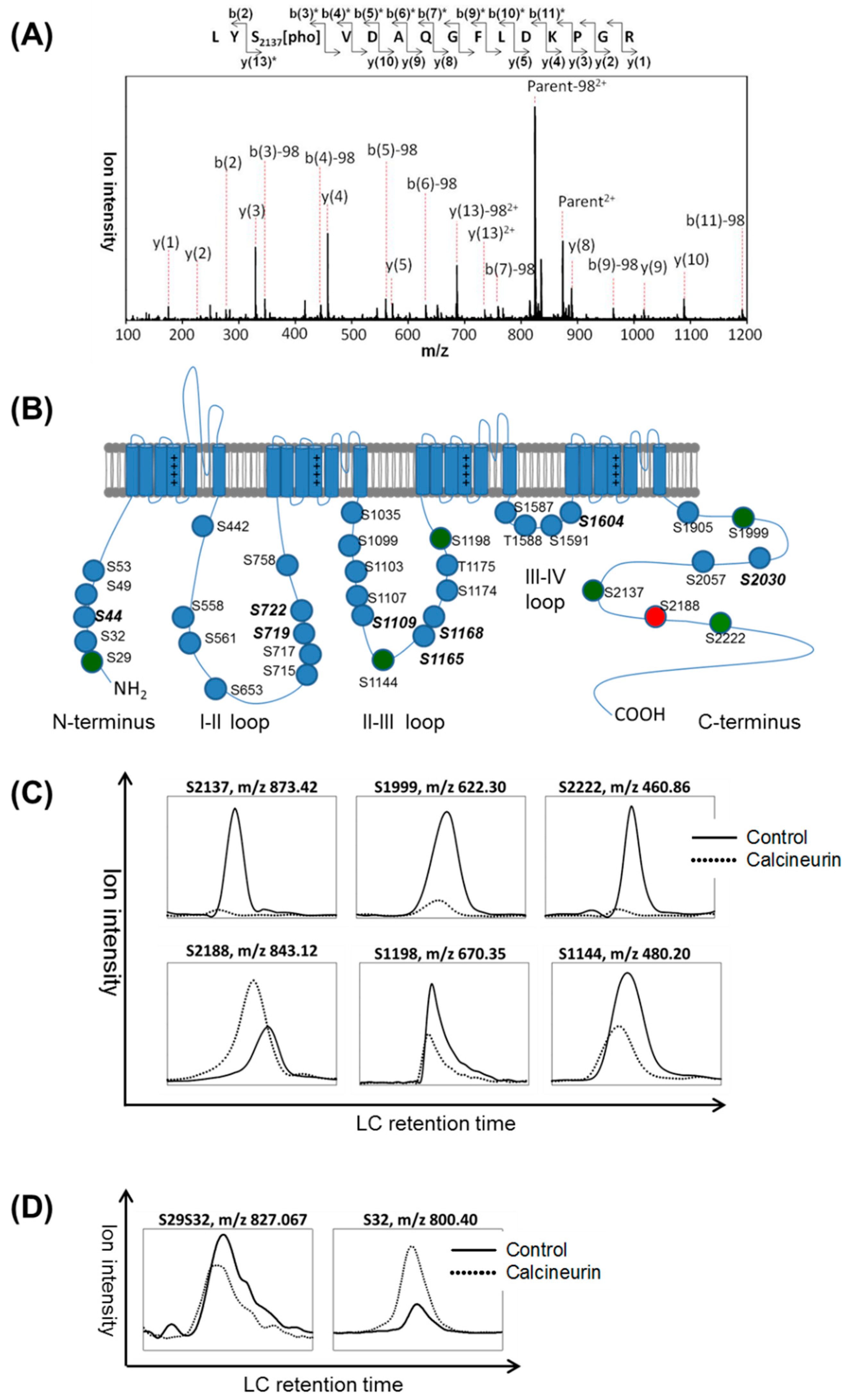 Preprints 82365 g001