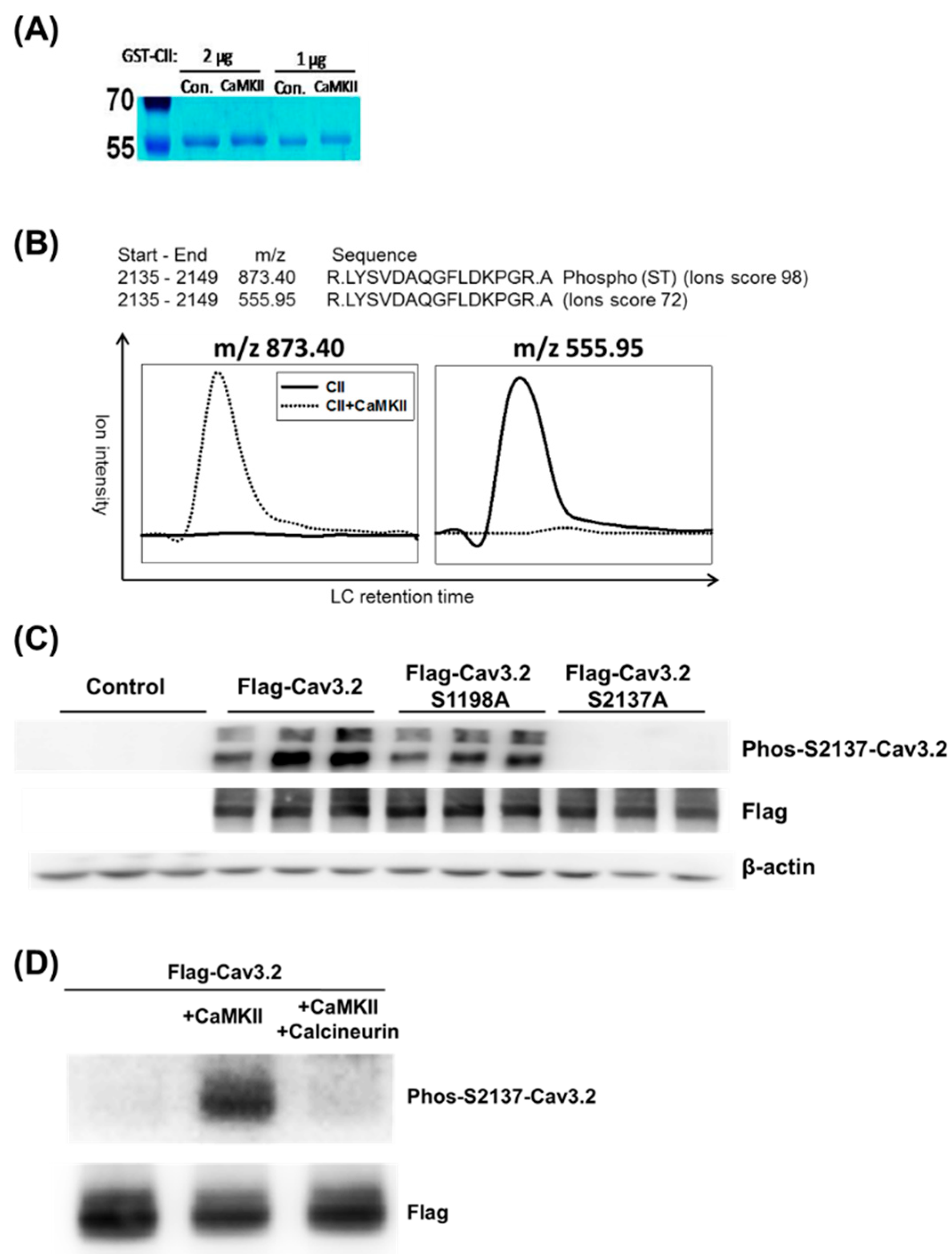 Preprints 82365 g003