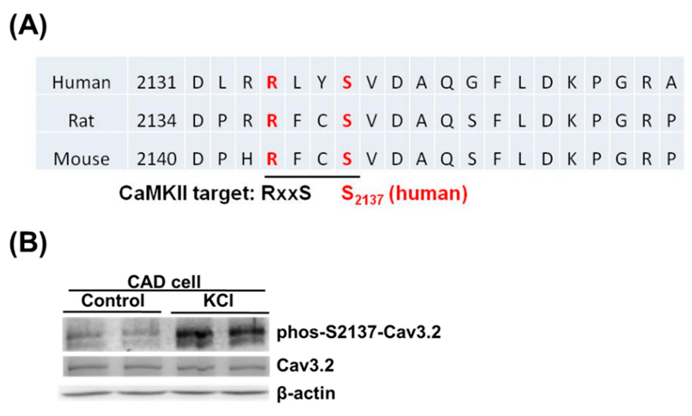 Preprints 82365 g004