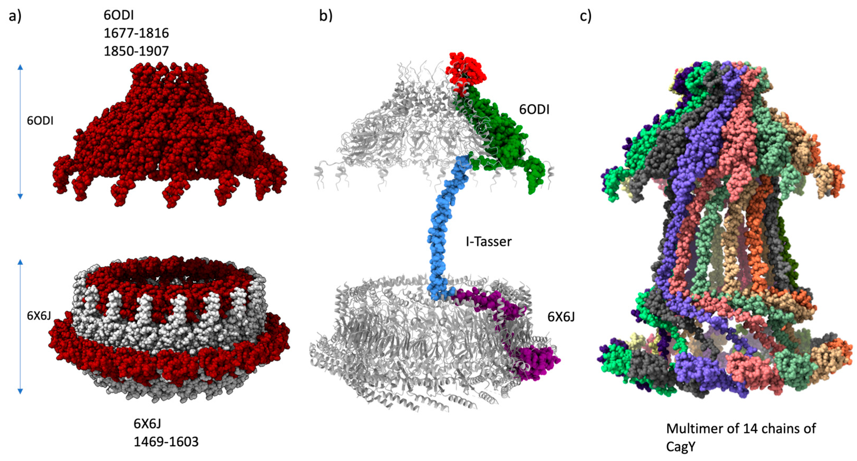 Preprints 88045 g002