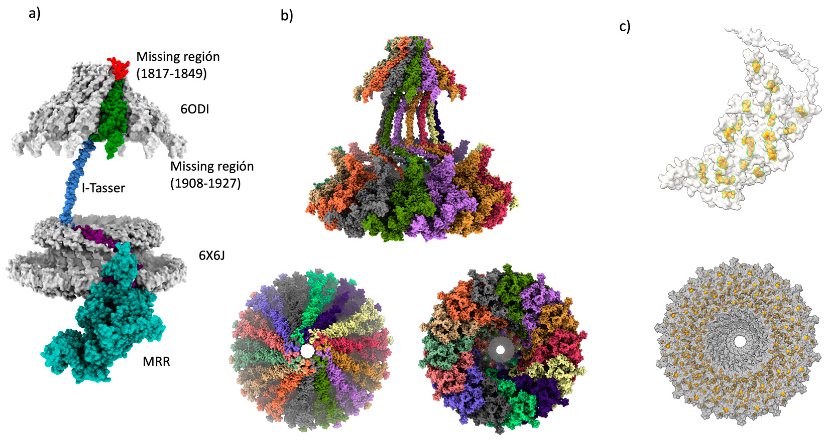 Preprints 88045 g004