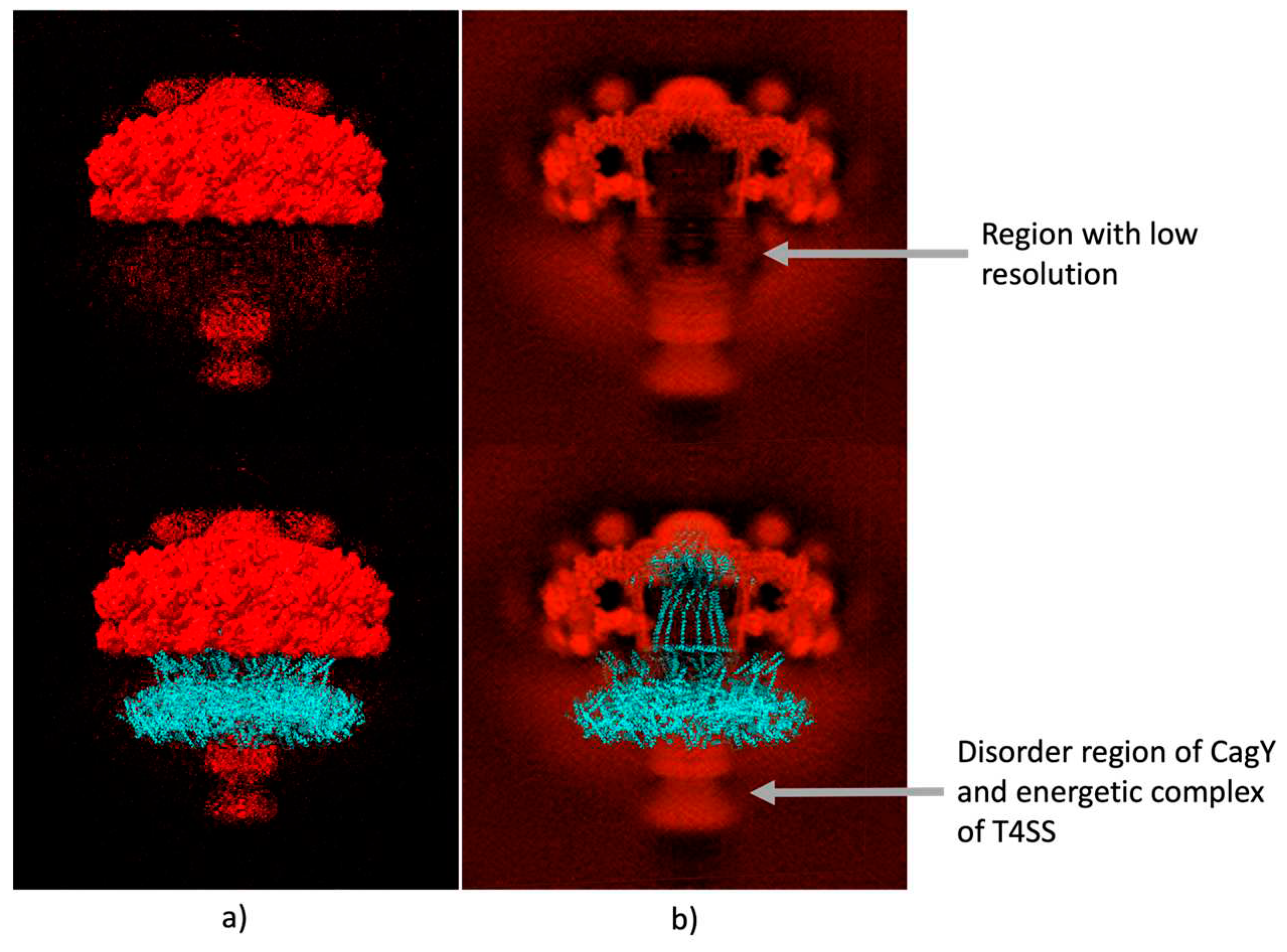 Preprints 88045 g005