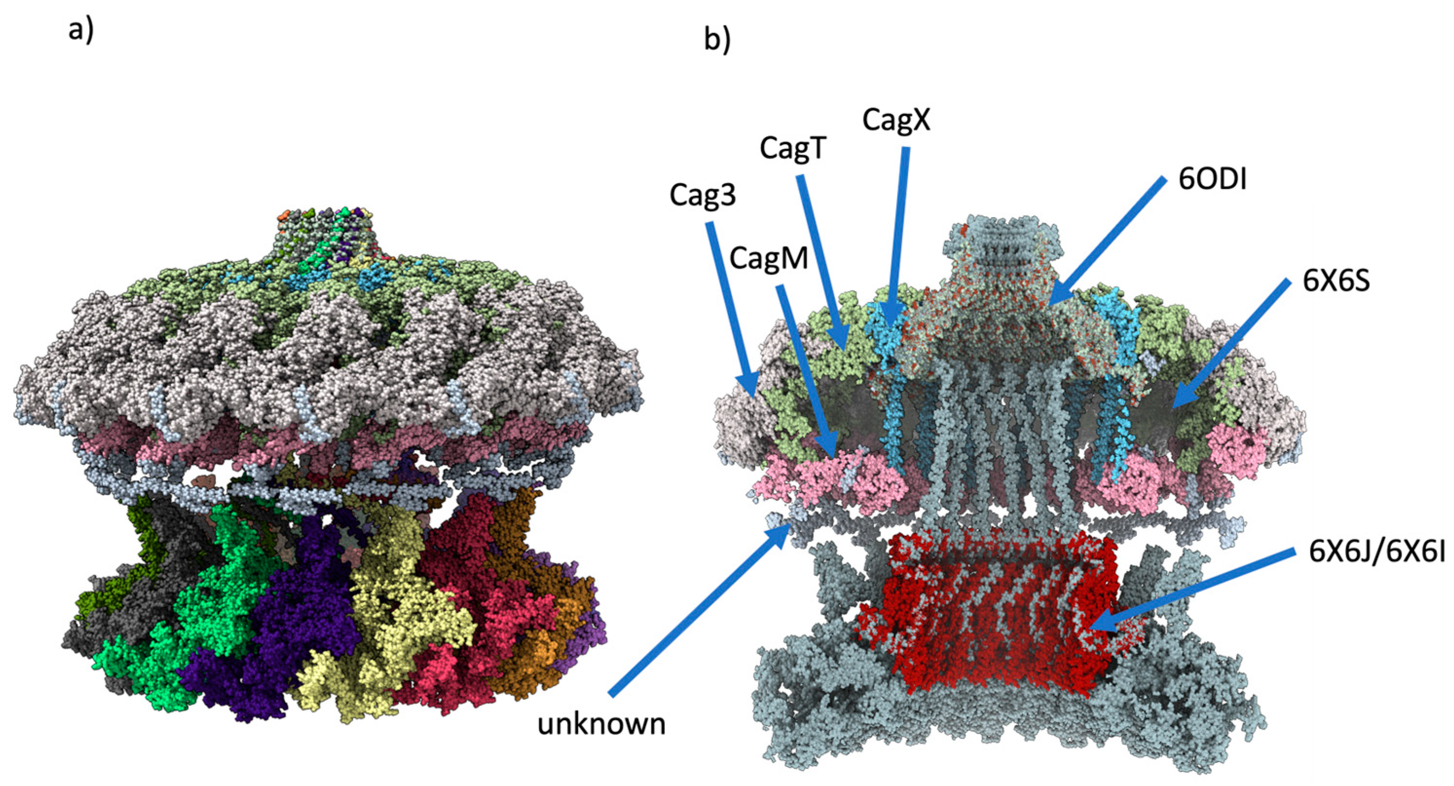 Preprints 88045 g006