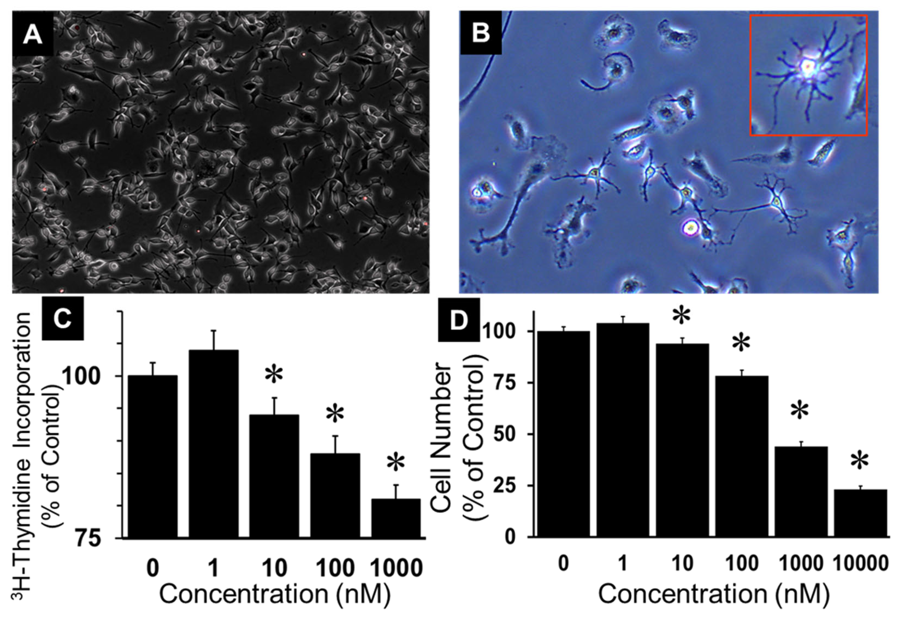 Preprints 104360 g001