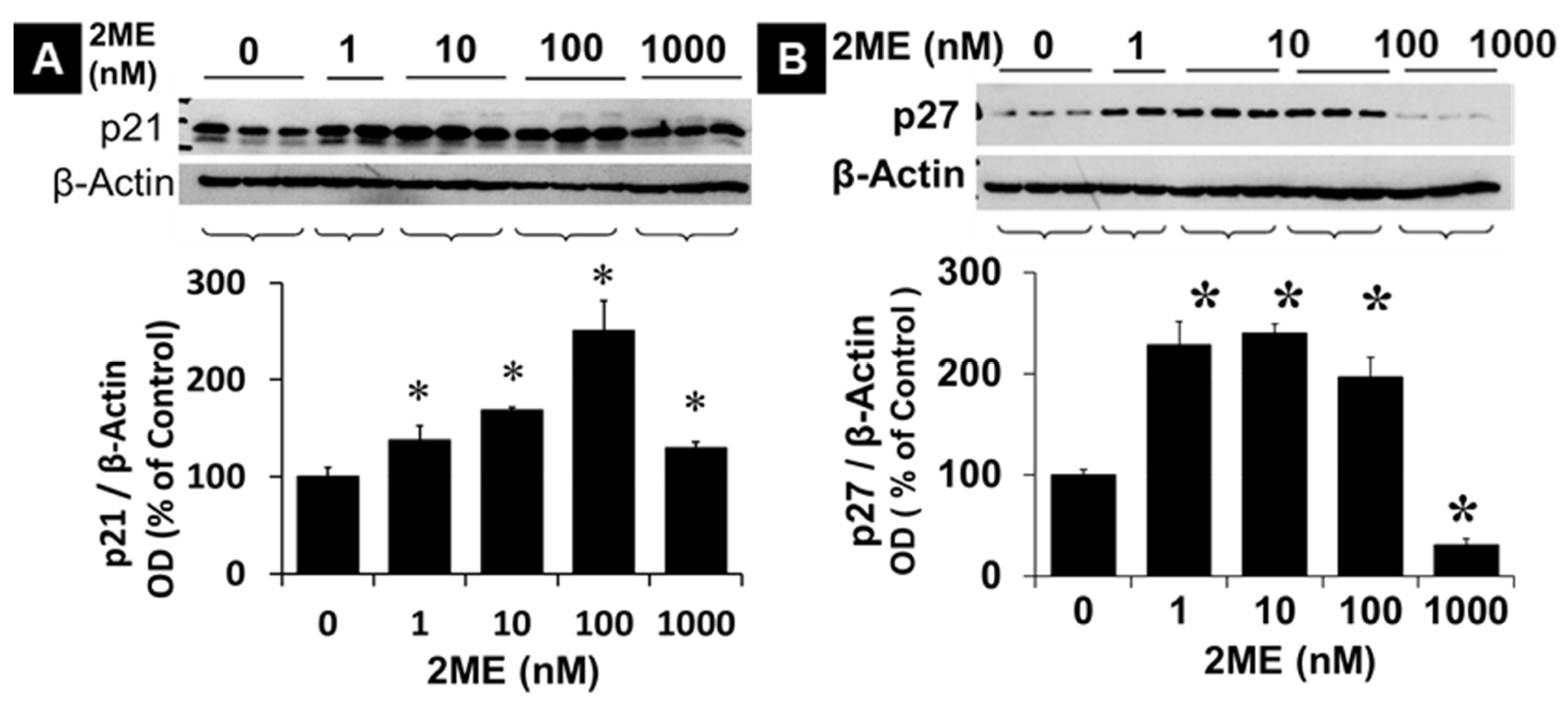 Preprints 104360 g002