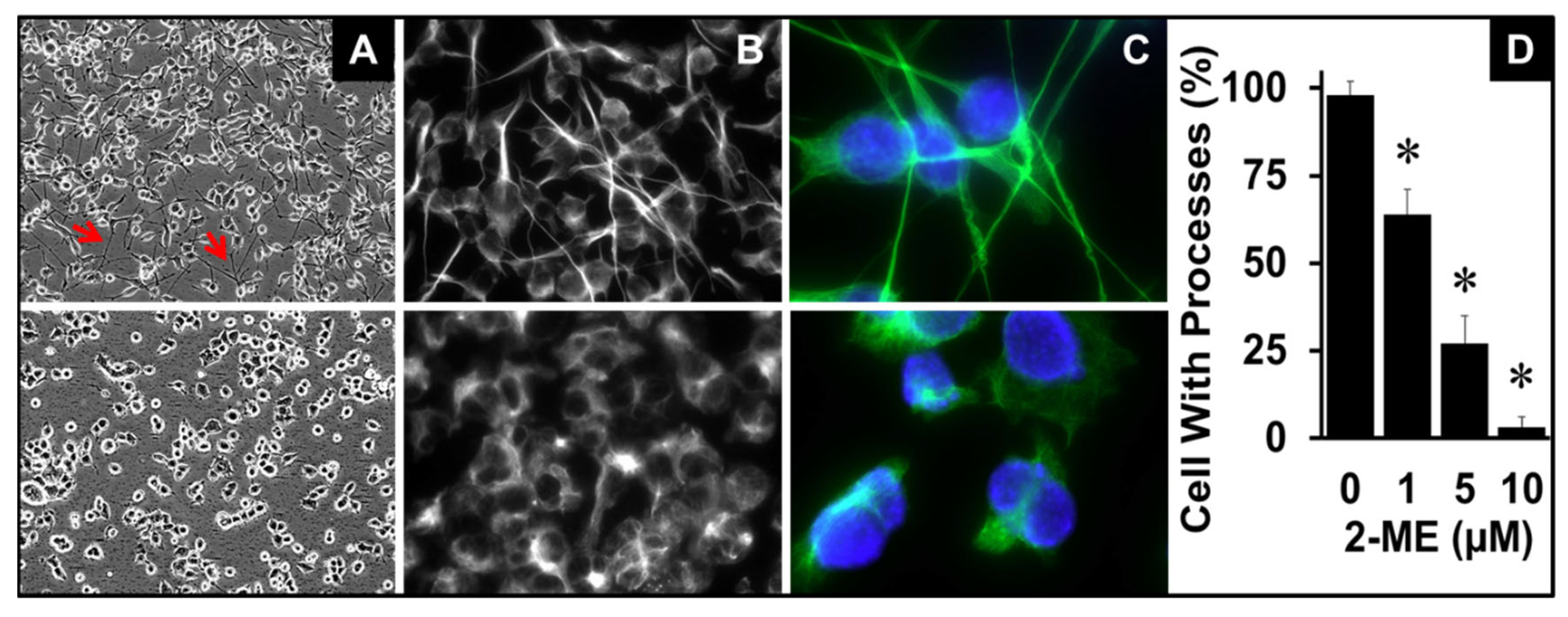 Preprints 104360 g003