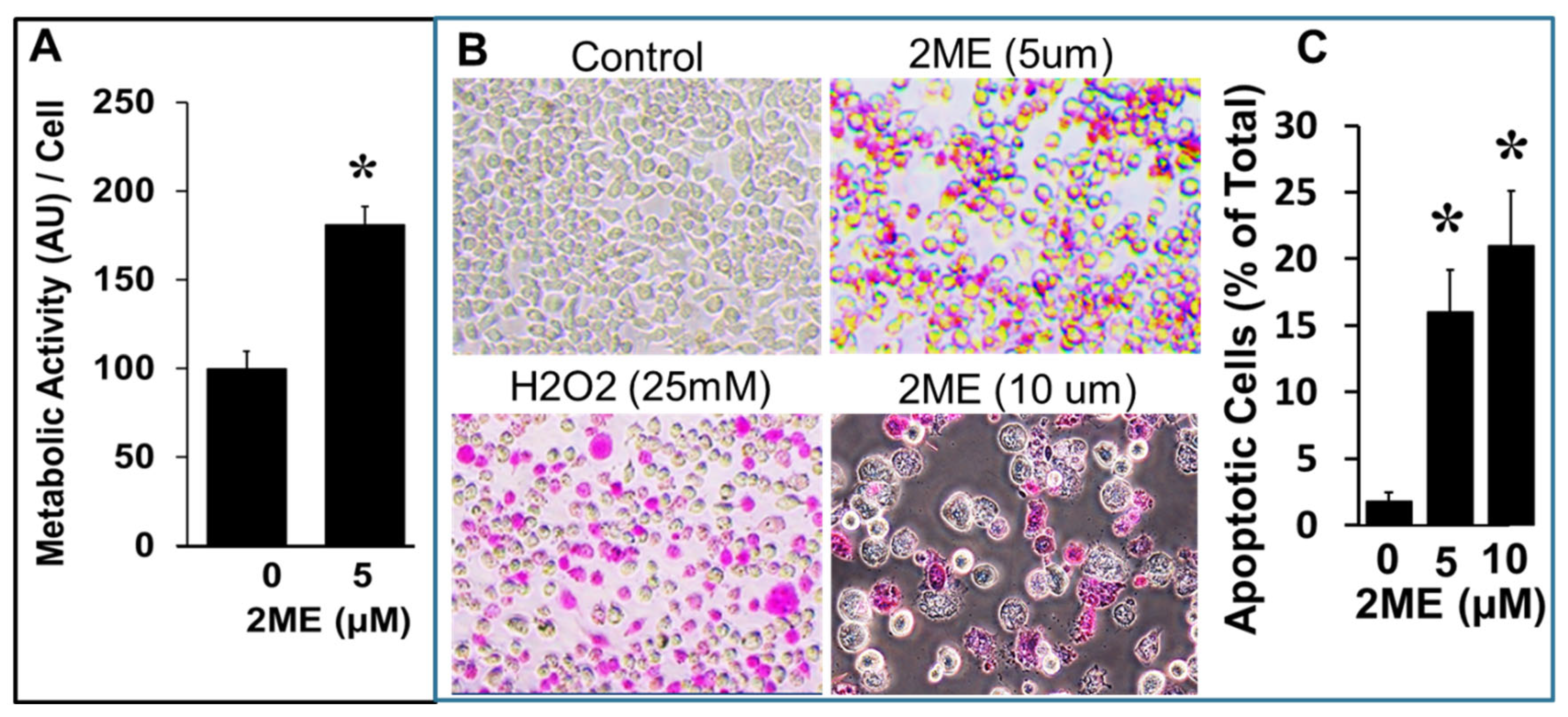 Preprints 104360 g004