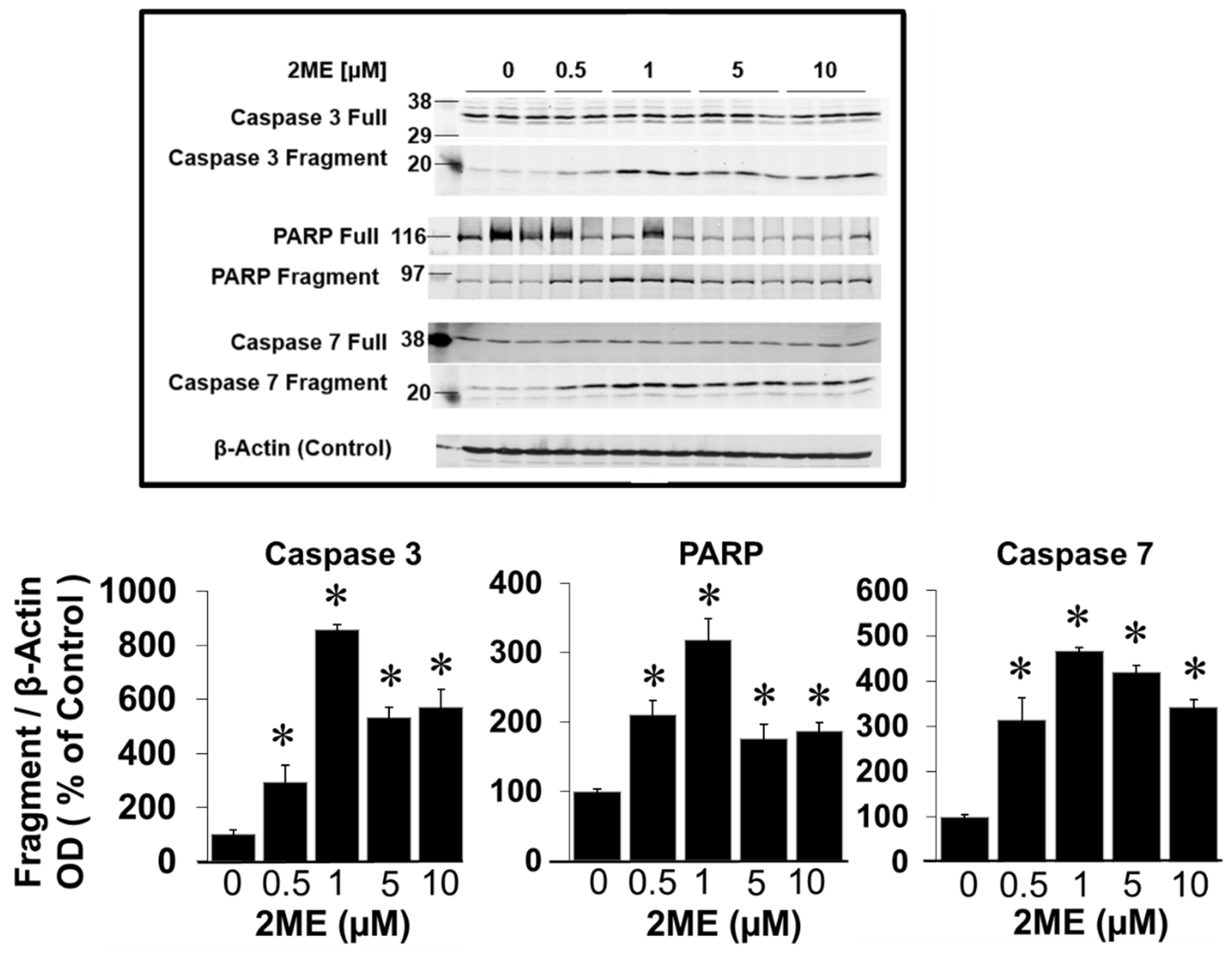 Preprints 104360 g005