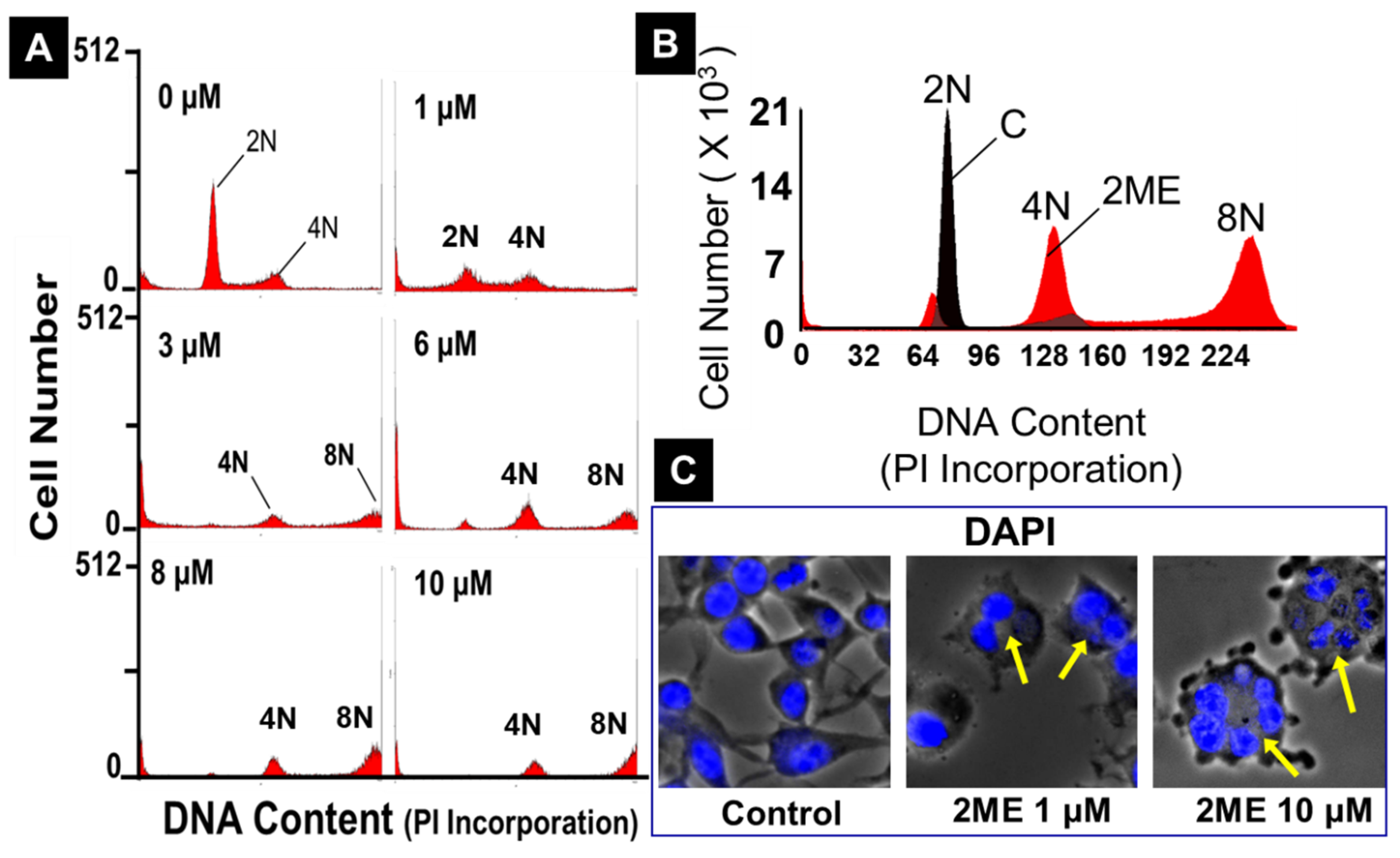 Preprints 104360 g006