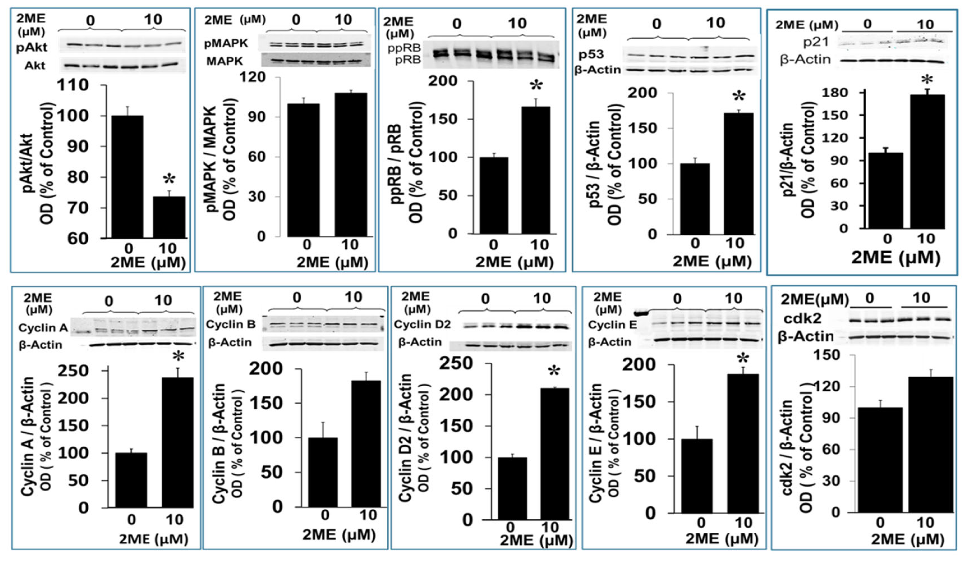 Preprints 104360 g007