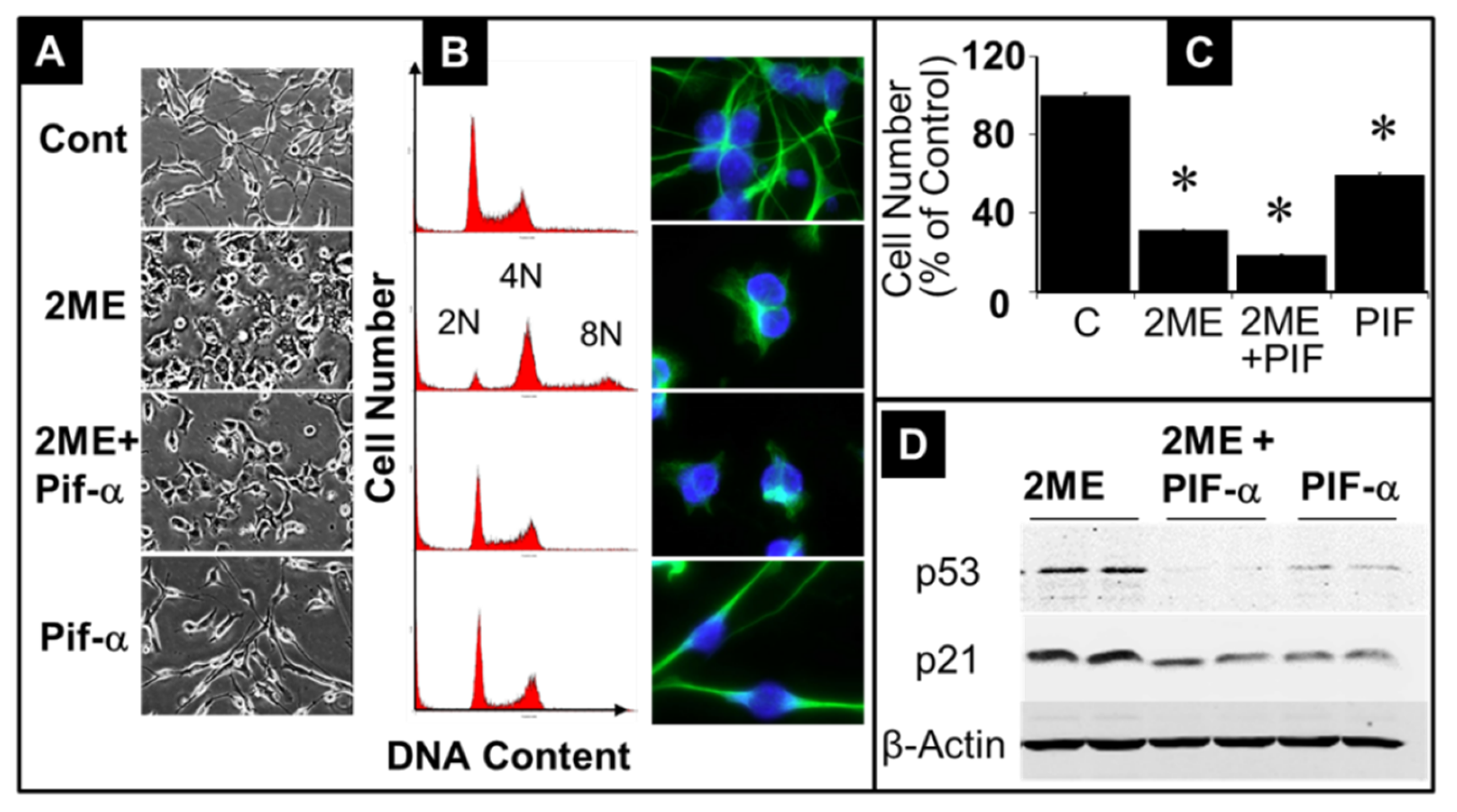 Preprints 104360 g009