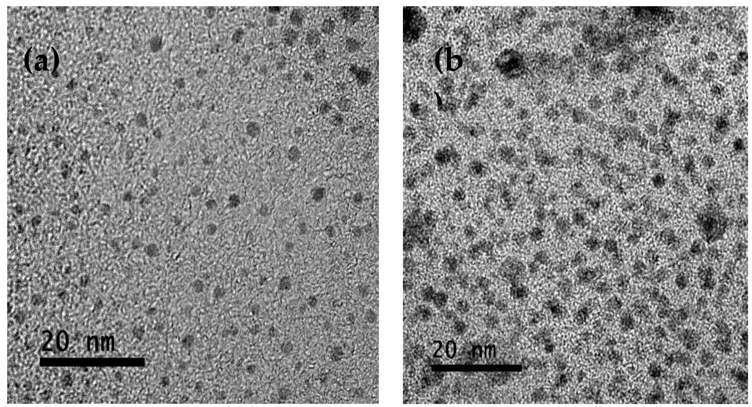 Preprints 120022 g001