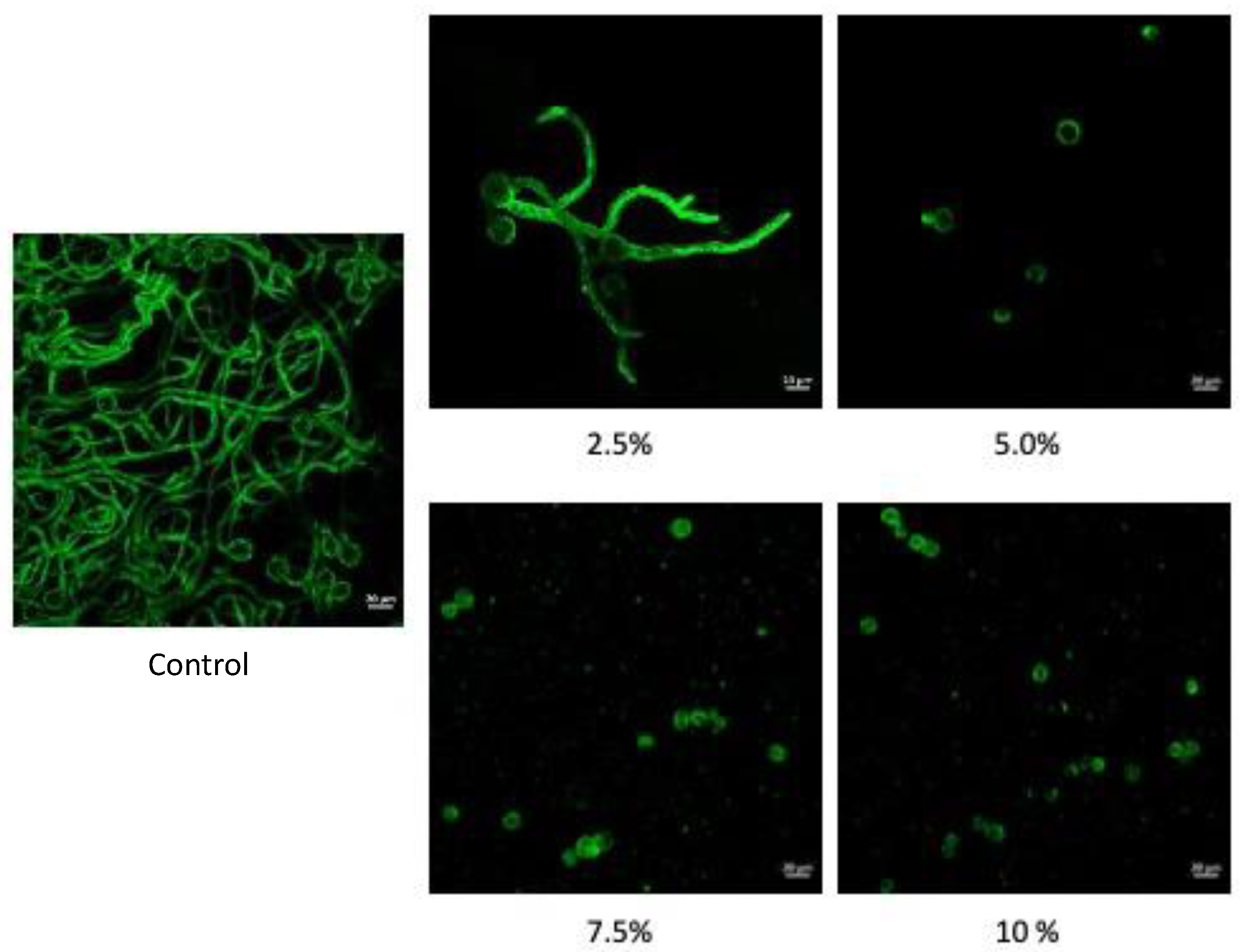 Preprints 120022 g004